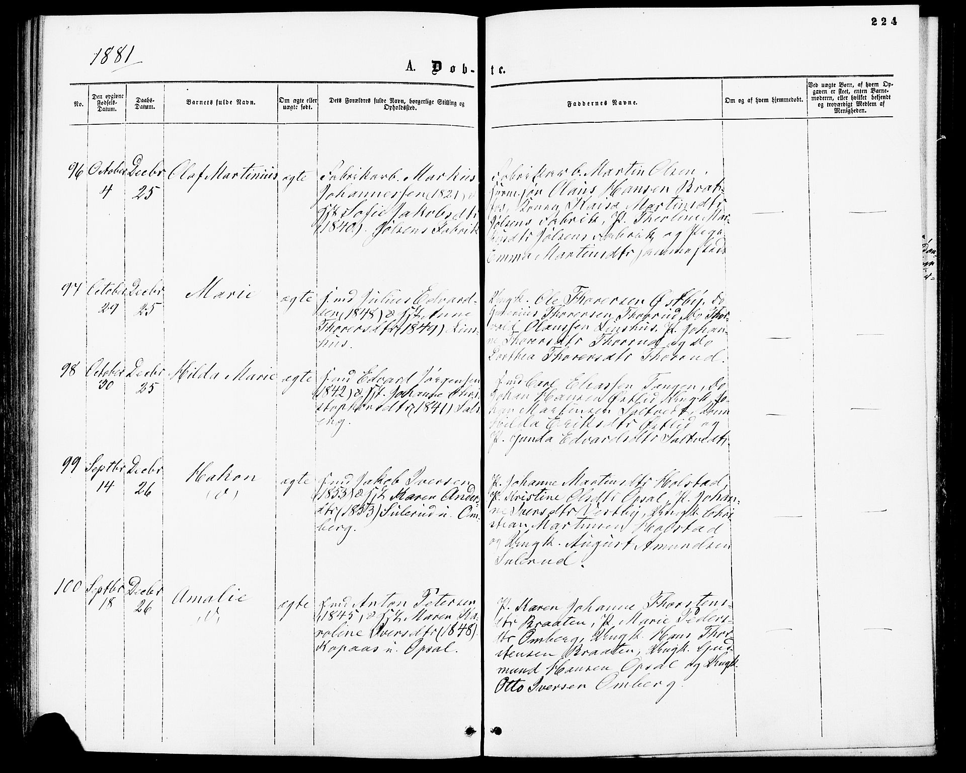 Enebakk prestekontor Kirkebøker, AV/SAO-A-10171c/F/Fa/L0011: Ministerialbok nr. I 11, 1862-1882, s. 224