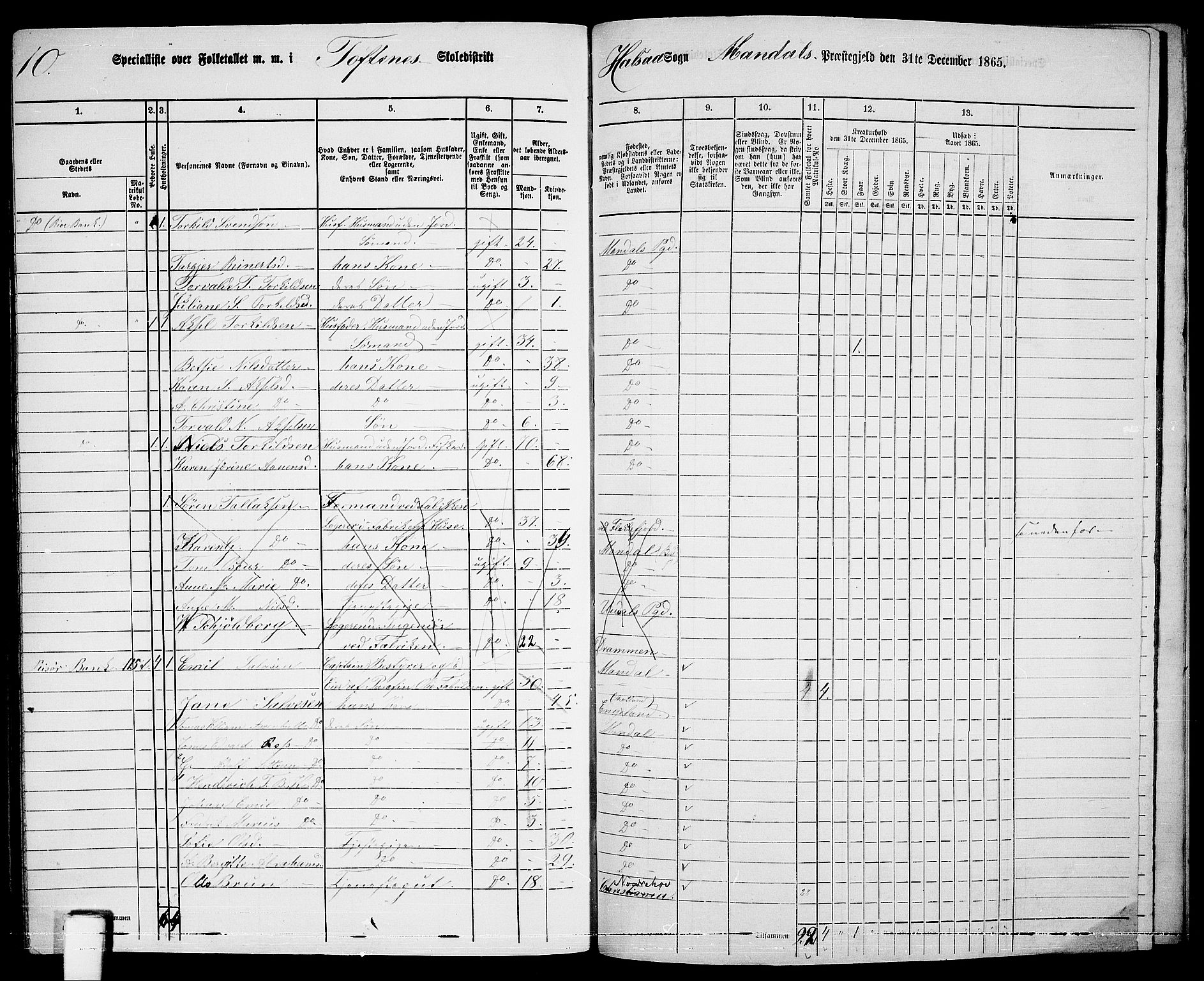 RA, Folketelling 1865 for 1019L Mandal prestegjeld, Halse sokn og Harkmark sokn, 1865, s. 119