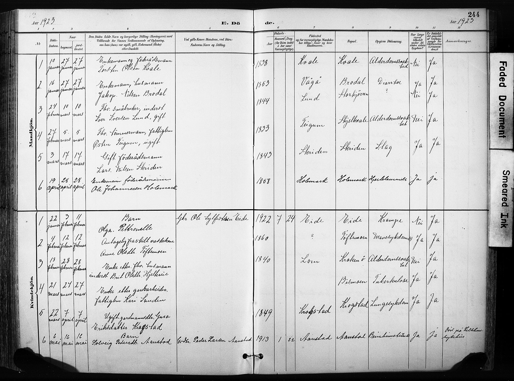 Skjåk prestekontor, AV/SAH-PREST-072/H/Ha/Hab/L0003: Klokkerbok nr. 3, 1893-1932, s. 244