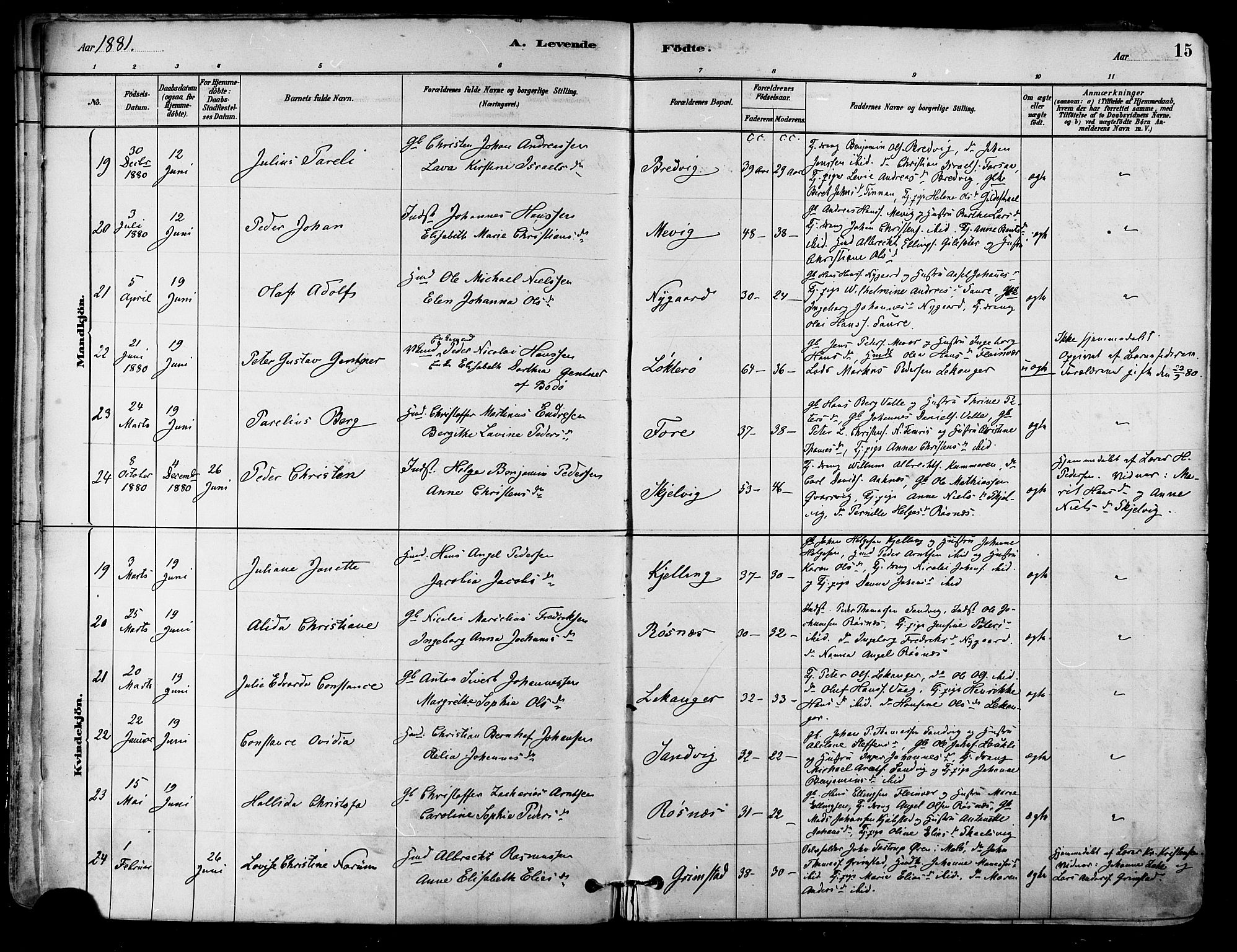 Ministerialprotokoller, klokkerbøker og fødselsregistre - Nordland, AV/SAT-A-1459/805/L0099: Ministerialbok nr. 805A06, 1880-1891, s. 15