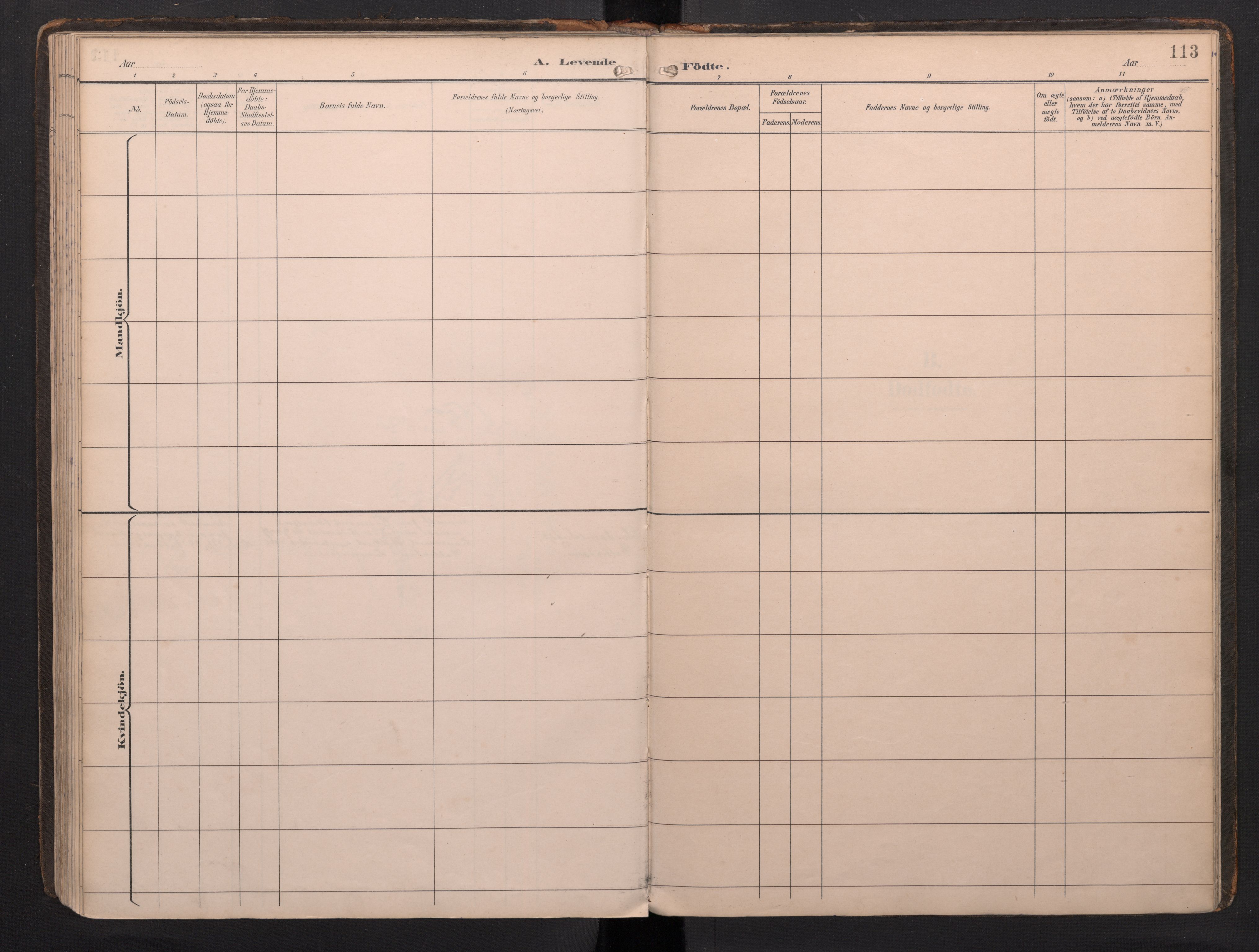 Sandviken Sokneprestembete, AV/SAB-A-77601/H/Ha: Ministerialbok nr. G 1, 1892-2002, s. 113