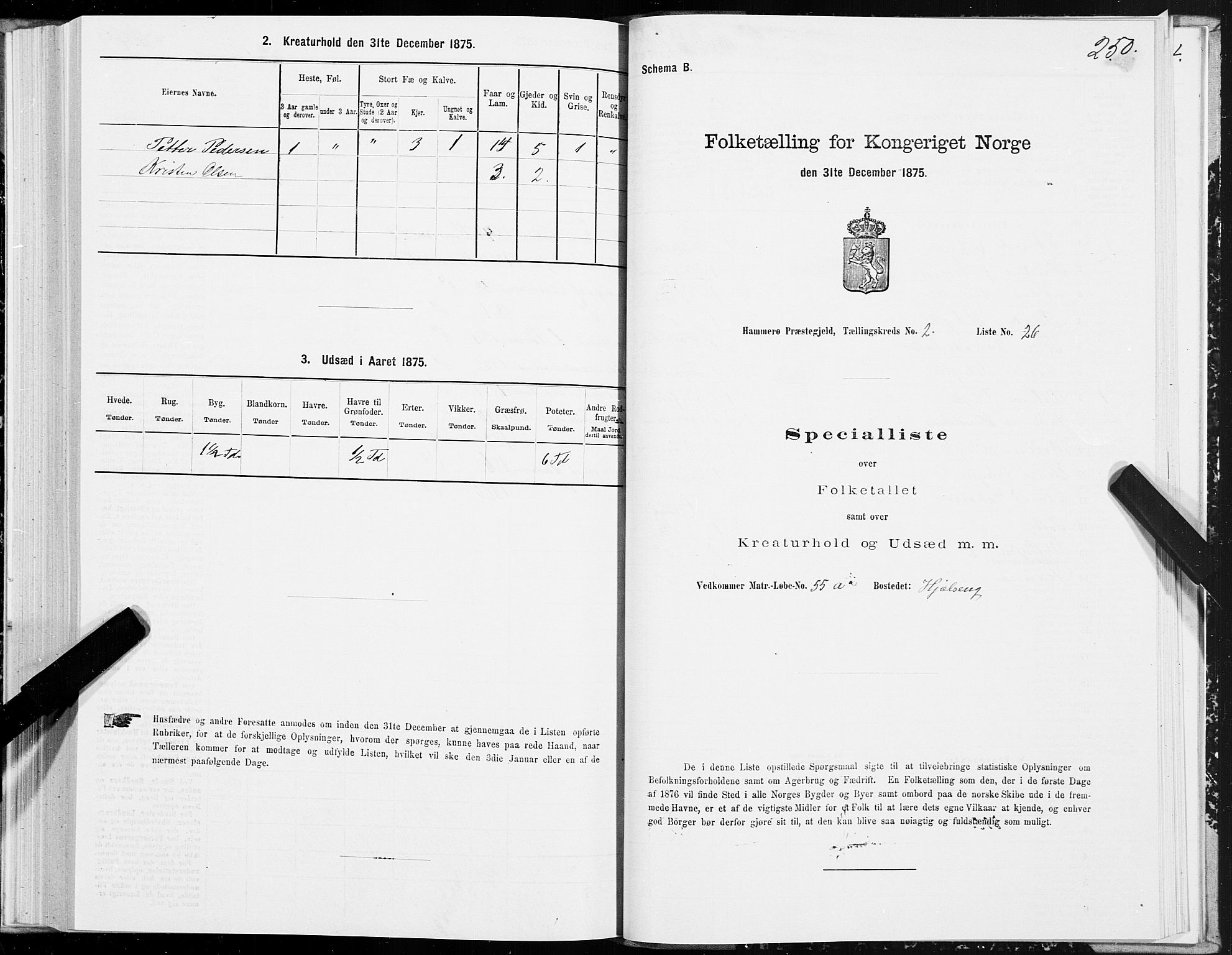 SAT, Folketelling 1875 for 1849P Hamarøy prestegjeld, 1875, s. 1250