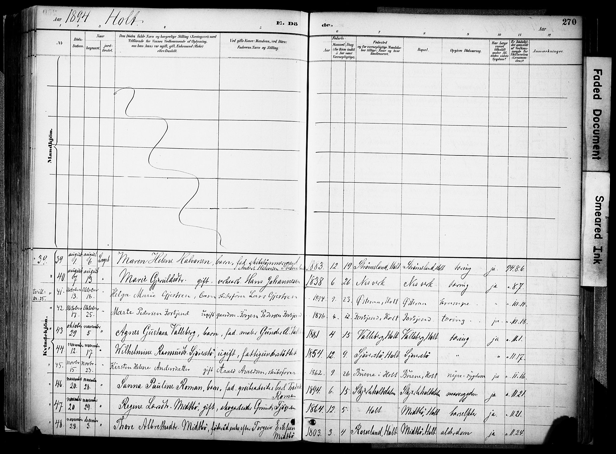 Holt sokneprestkontor, AV/SAK-1111-0021/F/Fa/L0012: Ministerialbok nr. A 12, 1885-1907, s. 270