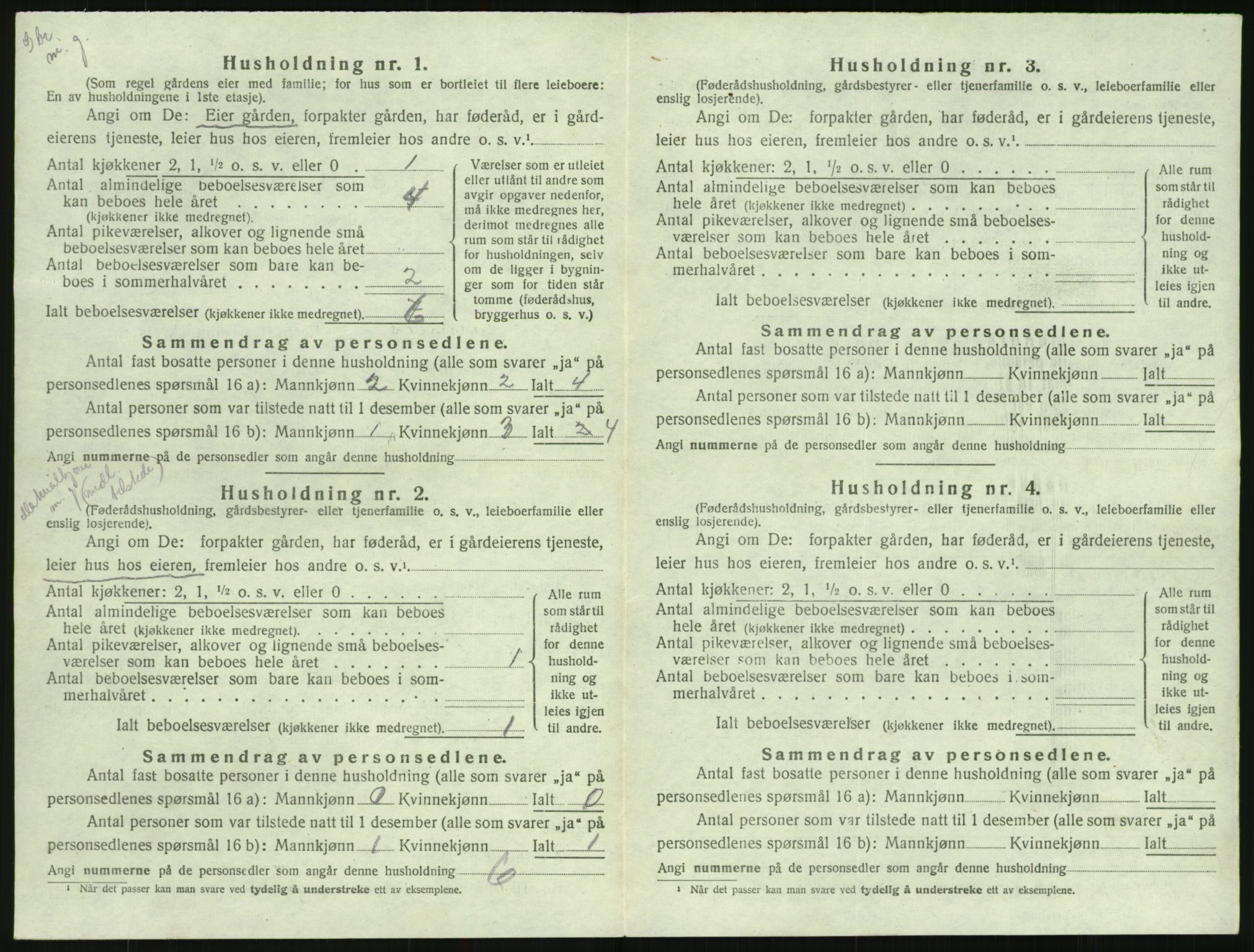 SAK, Folketelling 1920 for 0936 Hornnes herred, 1920, s. 408