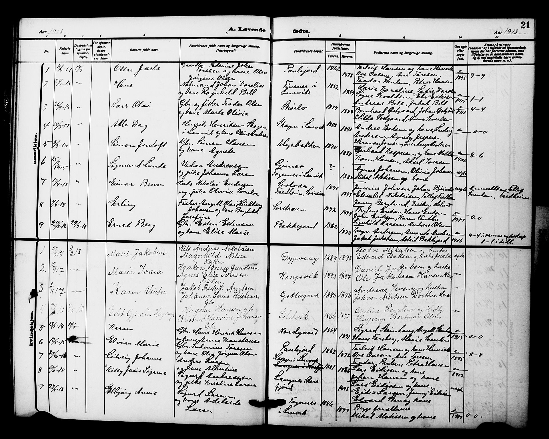 Tranøy sokneprestkontor, AV/SATØ-S-1313/I/Ia/Iab/L0023klokker: Klokkerbok nr. 23, 1913-1928, s. 21