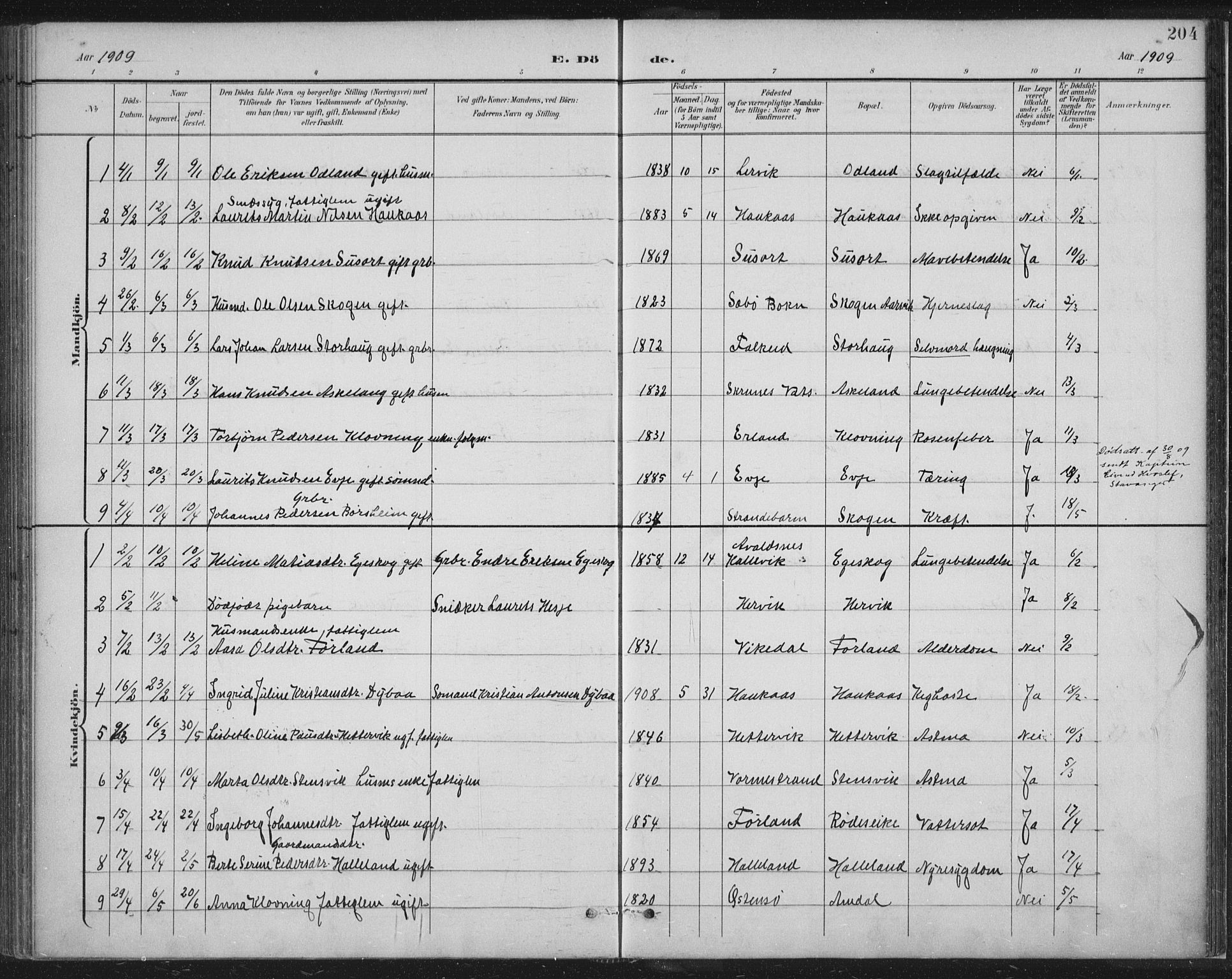Tysvær sokneprestkontor, AV/SAST-A -101864/H/Ha/Haa/L0008: Ministerialbok nr. A 8, 1897-1918, s. 204