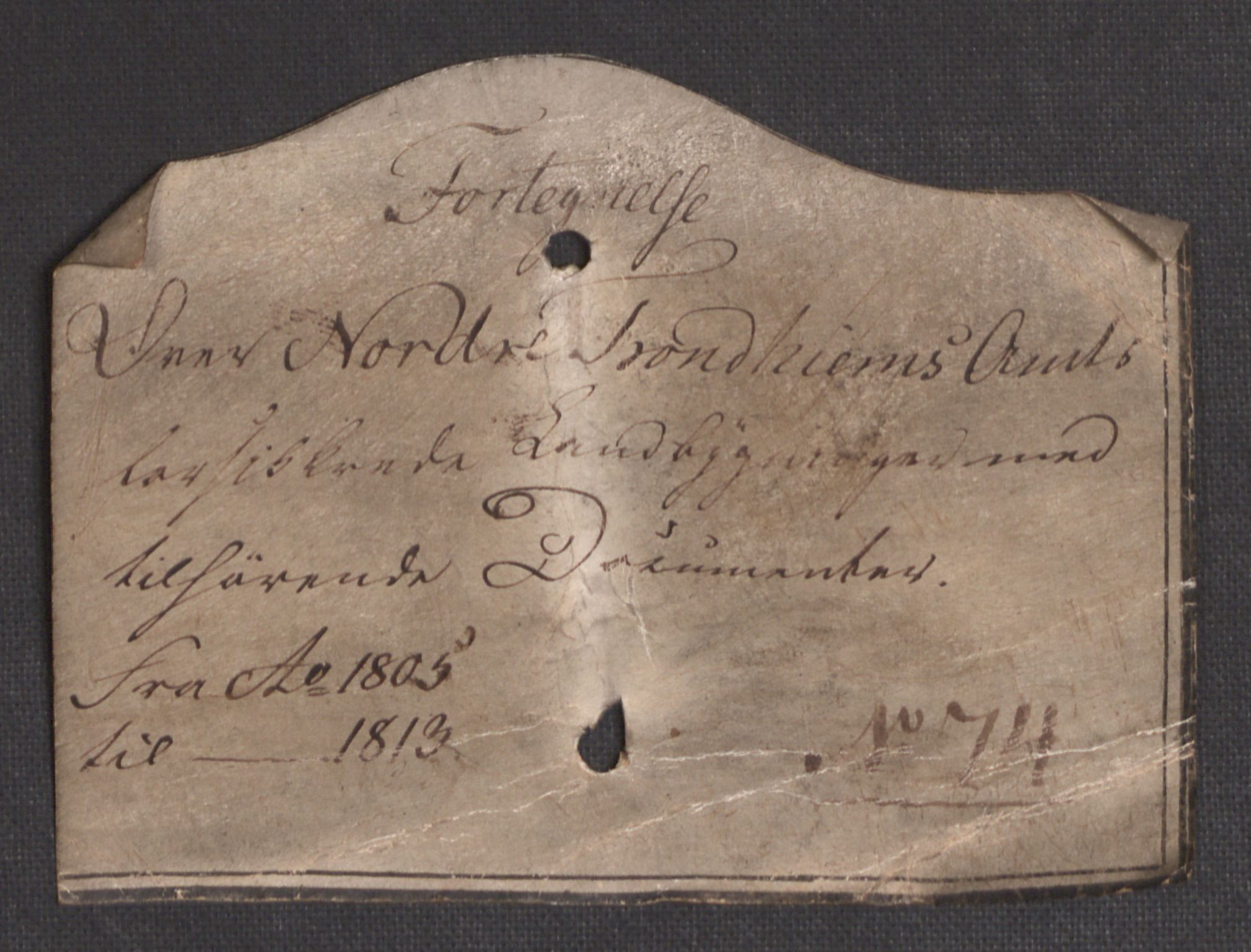 Kommersekollegiet, Brannforsikringskontoret 1767-1814, RA/EA-5458/F/Fb/L0074/0001: Nordre Trondheims amt / Dokumenter, 1799-1804