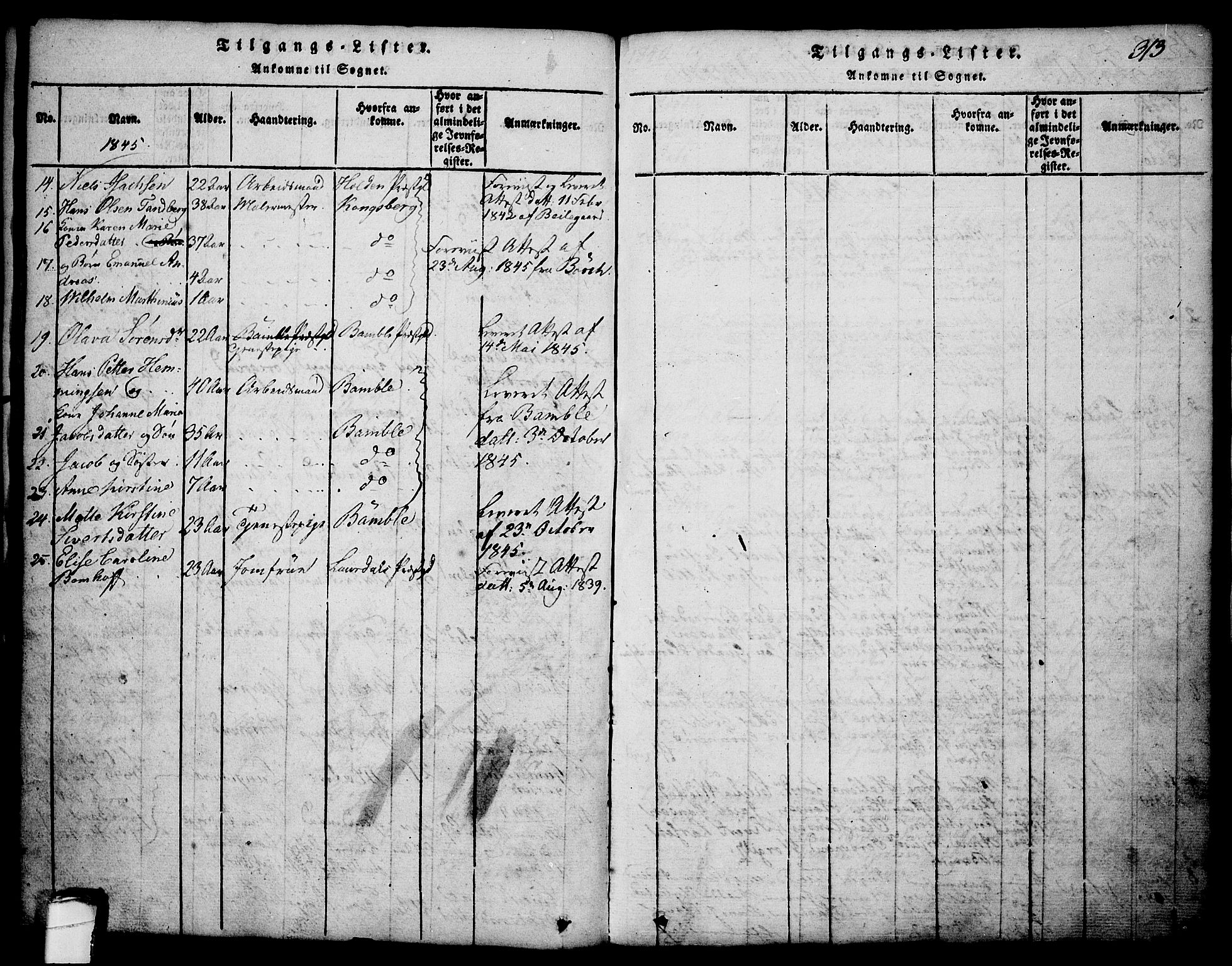 Brevik kirkebøker, AV/SAKO-A-255/G/Ga/L0001: Klokkerbok nr. 1, 1814-1845, s. 313