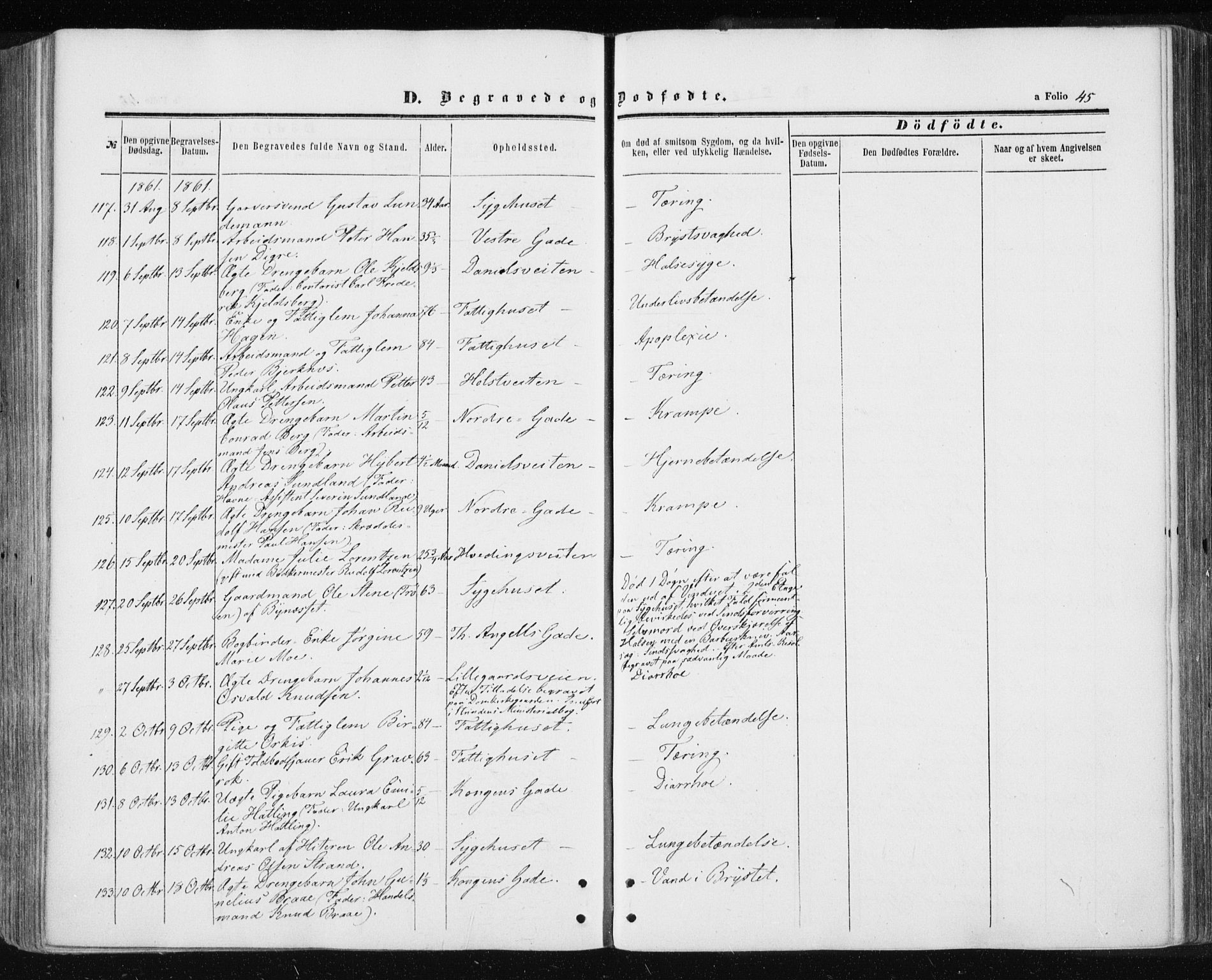 Ministerialprotokoller, klokkerbøker og fødselsregistre - Sør-Trøndelag, AV/SAT-A-1456/601/L0053: Ministerialbok nr. 601A21, 1857-1865, s. 45