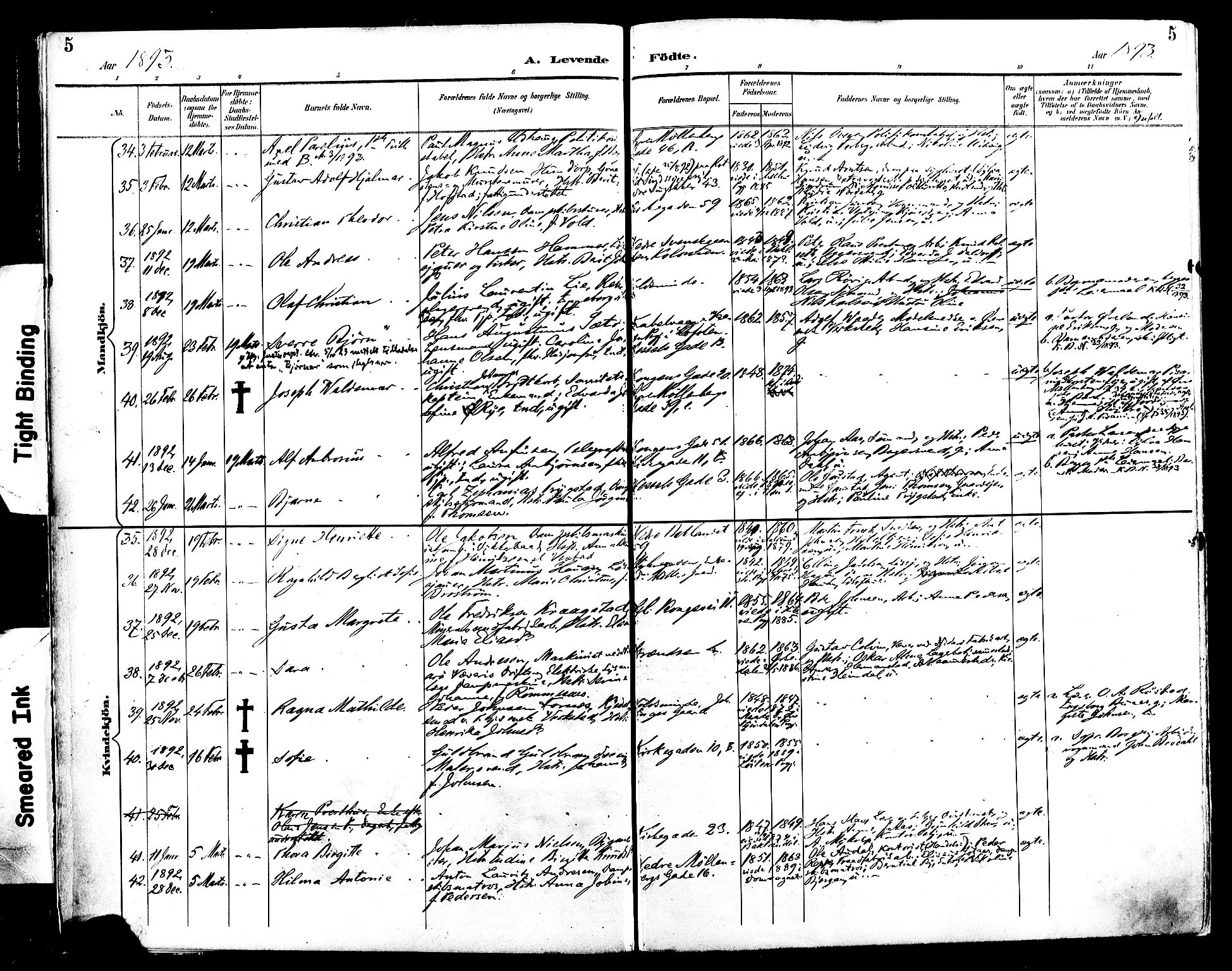 Ministerialprotokoller, klokkerbøker og fødselsregistre - Sør-Trøndelag, AV/SAT-A-1456/604/L0197: Ministerialbok nr. 604A18, 1893-1900, s. 5