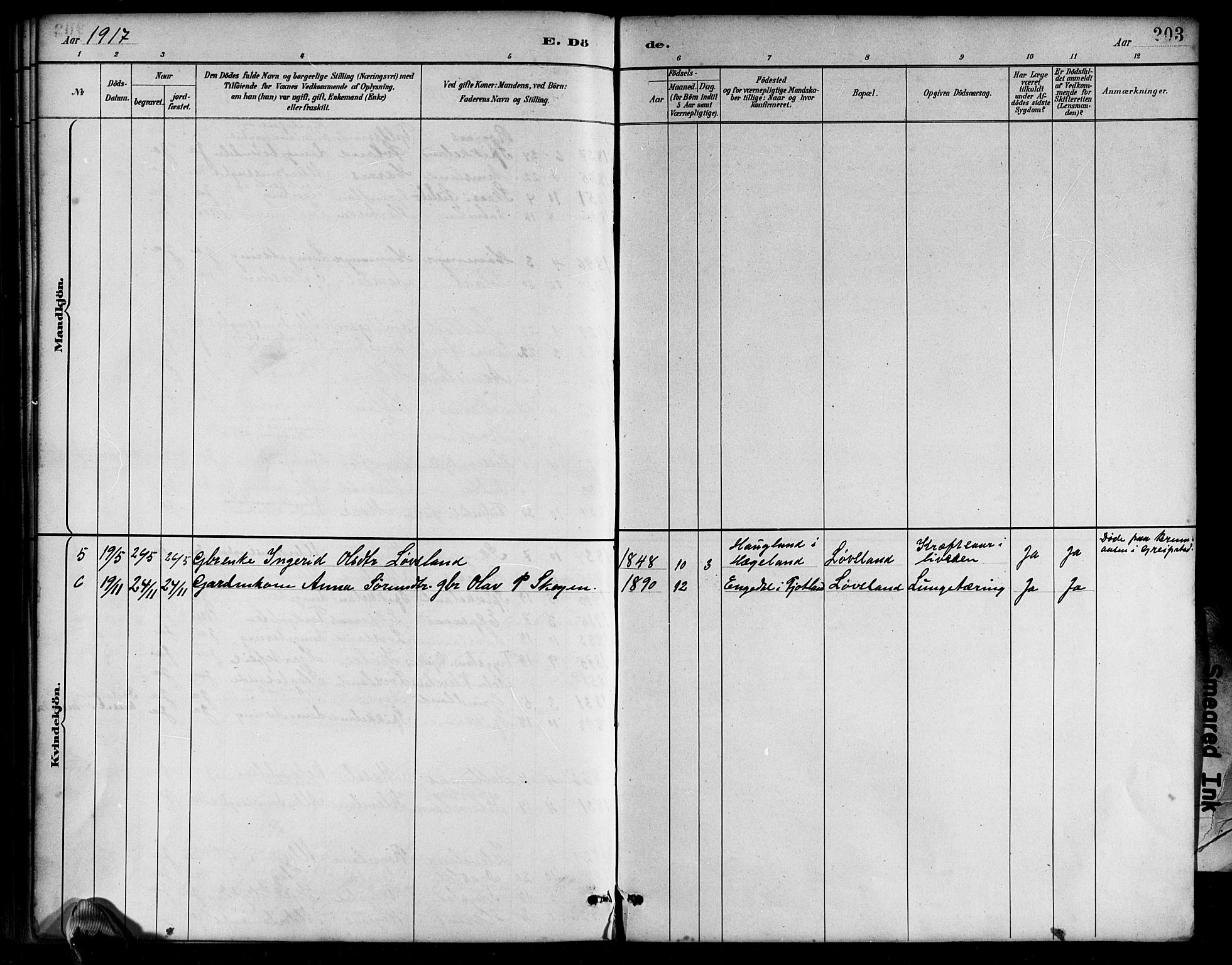Bjelland sokneprestkontor, AV/SAK-1111-0005/F/Fb/Fbb/L0005: Klokkerbok nr. B 5, 1887-1918, s. 203