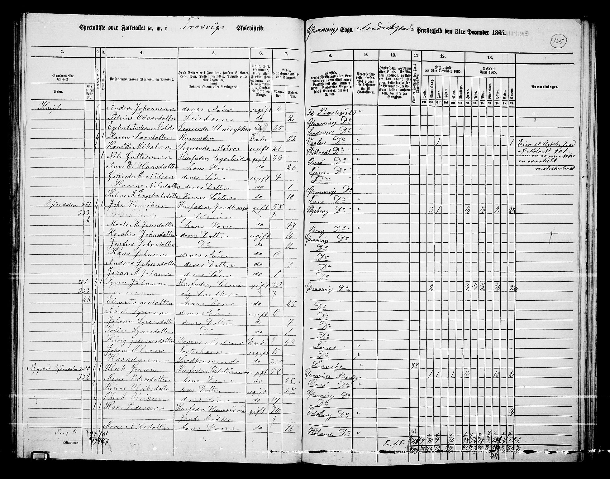 RA, Folketelling 1865 for 0132L Fredrikstad prestegjeld, Glemmen sokn, 1865, s. 131