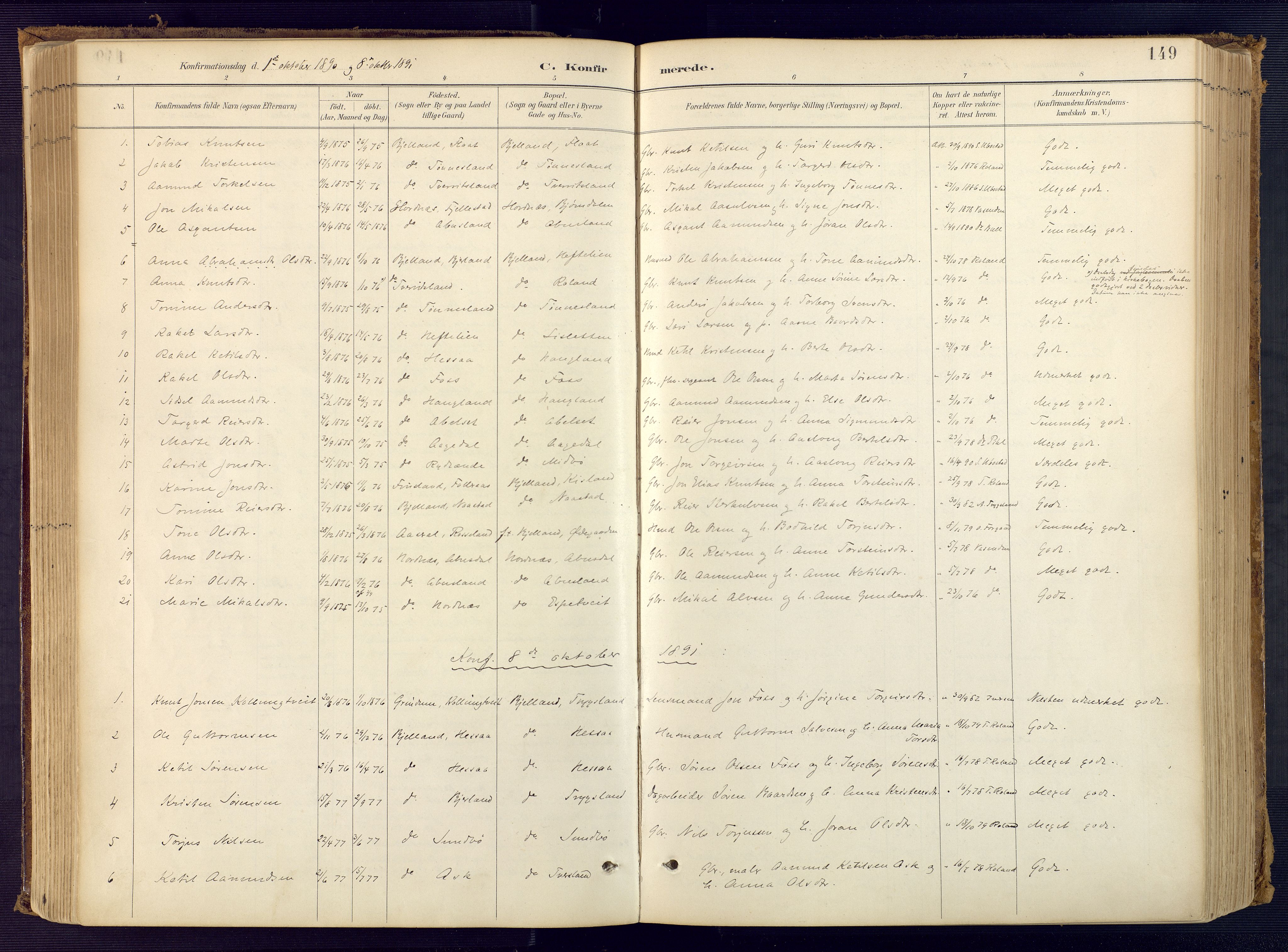 Bjelland sokneprestkontor, SAK/1111-0005/F/Fa/Faa/L0004: Ministerialbok nr. A 4, 1887-1923, s. 149
