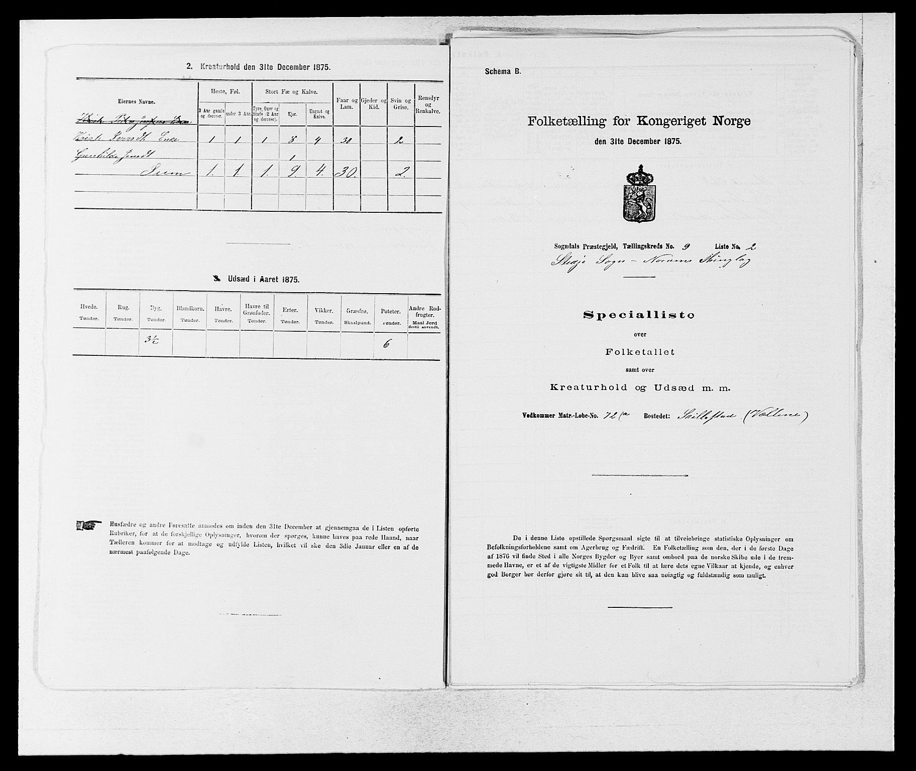 SAB, Folketelling 1875 for 1420P Sogndal prestegjeld, 1875, s. 812