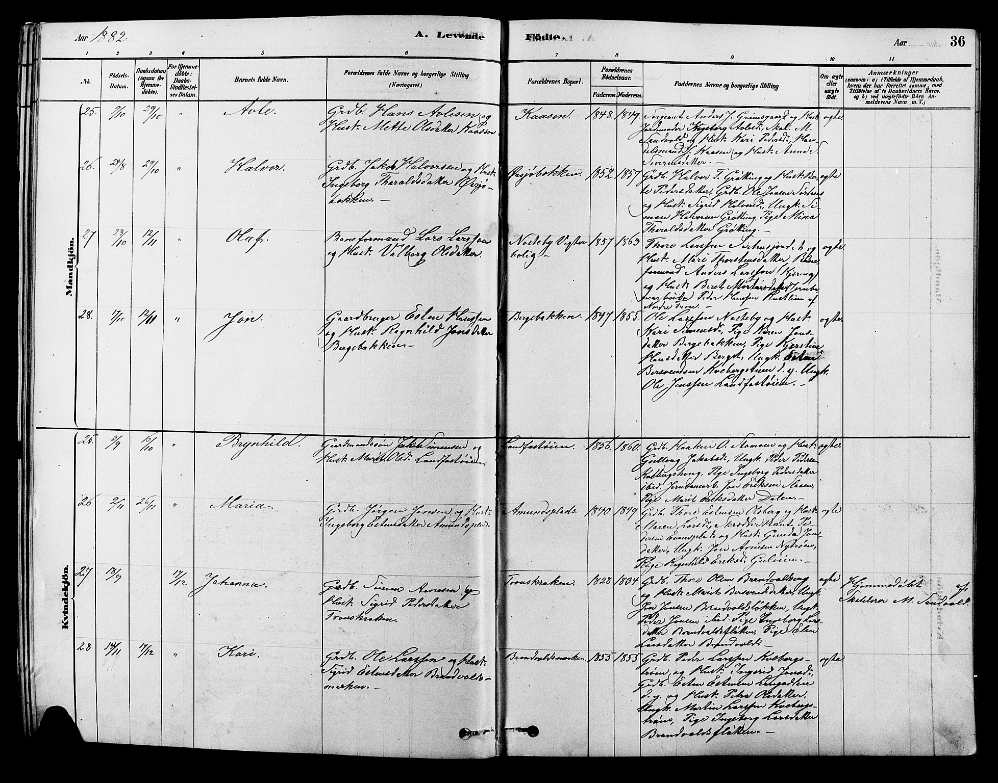 Alvdal prestekontor, AV/SAH-PREST-060/H/Ha/Hab/L0003: Klokkerbok nr. 3, 1878-1907, s. 36