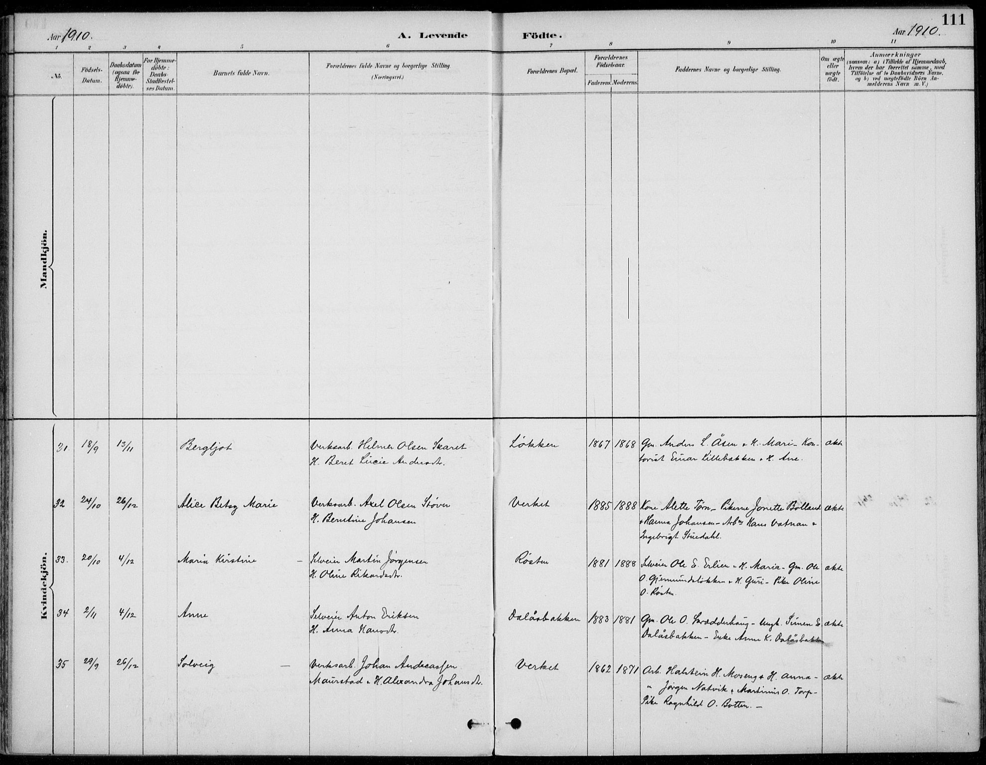 Alvdal prestekontor, SAH/PREST-060/H/Ha/Haa/L0003: Ministerialbok nr. 3, 1886-1912, s. 111