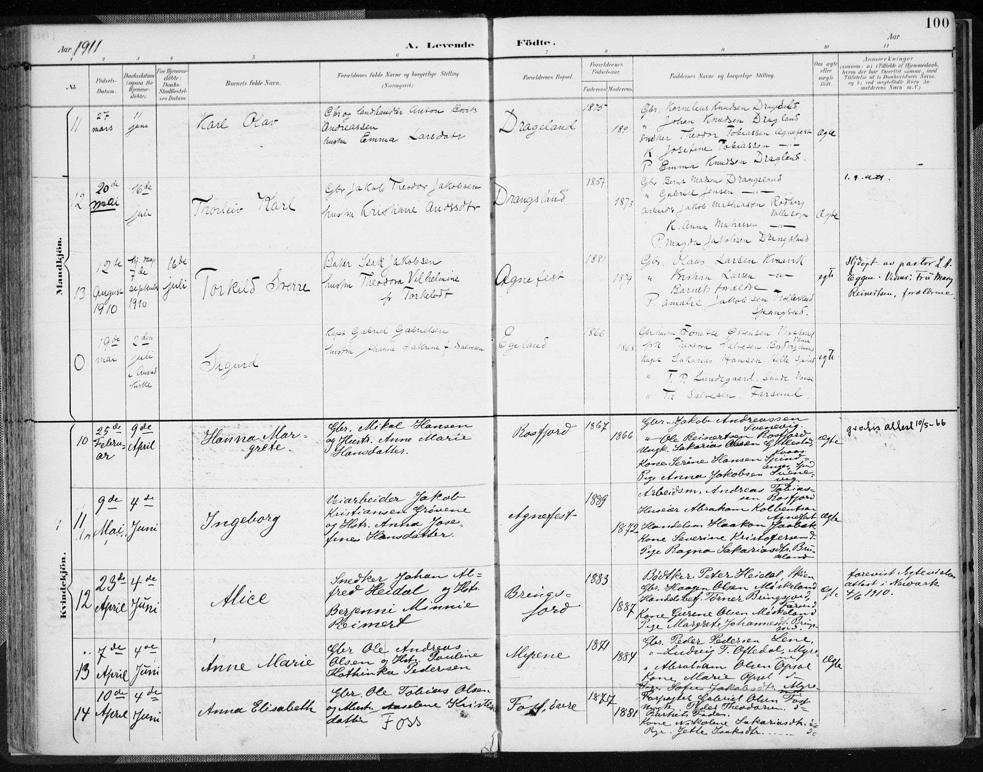 Lyngdal sokneprestkontor, AV/SAK-1111-0029/F/Fa/Fac/L0012: Ministerialbok nr. A 12, 1894-1918, s. 100