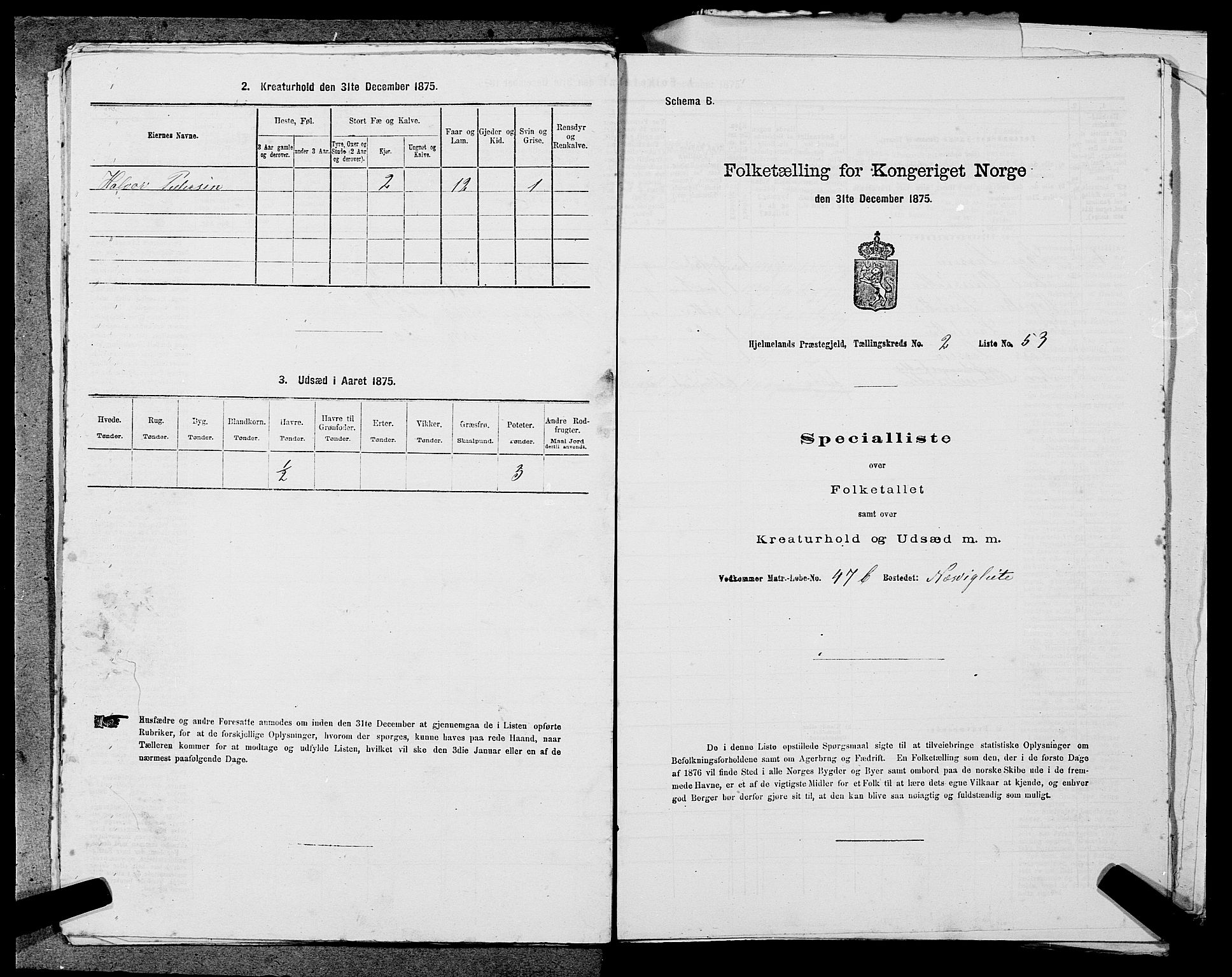 SAST, Folketelling 1875 for 1133P Hjelmeland prestegjeld, 1875, s. 306