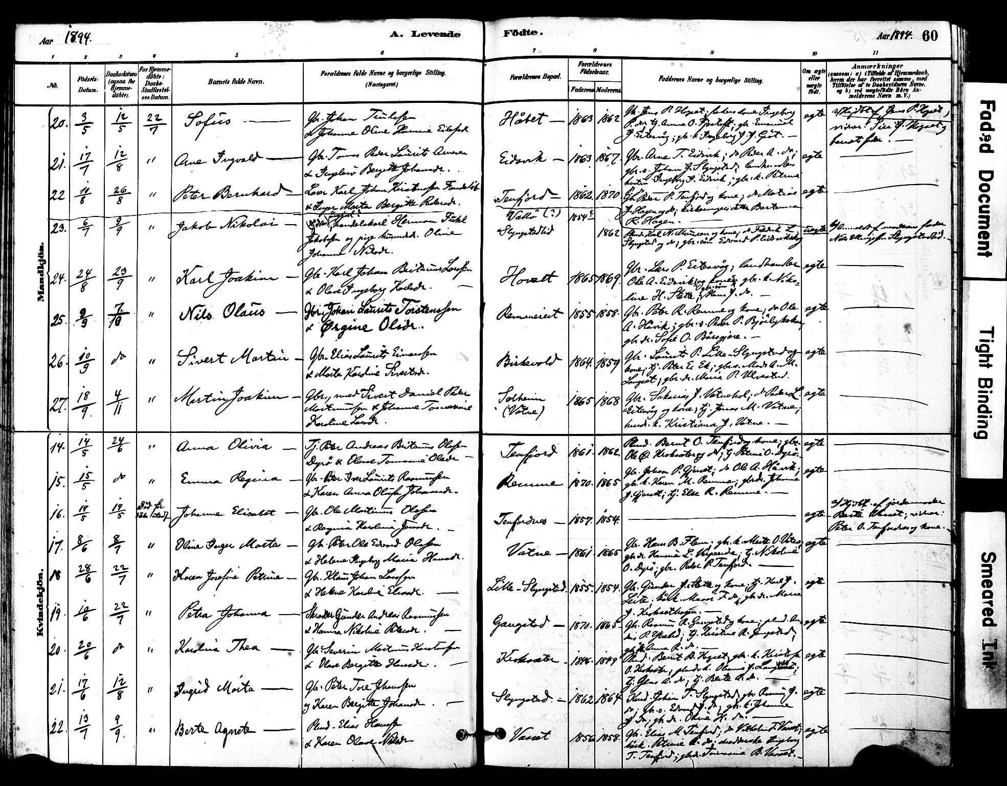 Ministerialprotokoller, klokkerbøker og fødselsregistre - Møre og Romsdal, AV/SAT-A-1454/525/L0374: Ministerialbok nr. 525A04, 1880-1899, s. 60