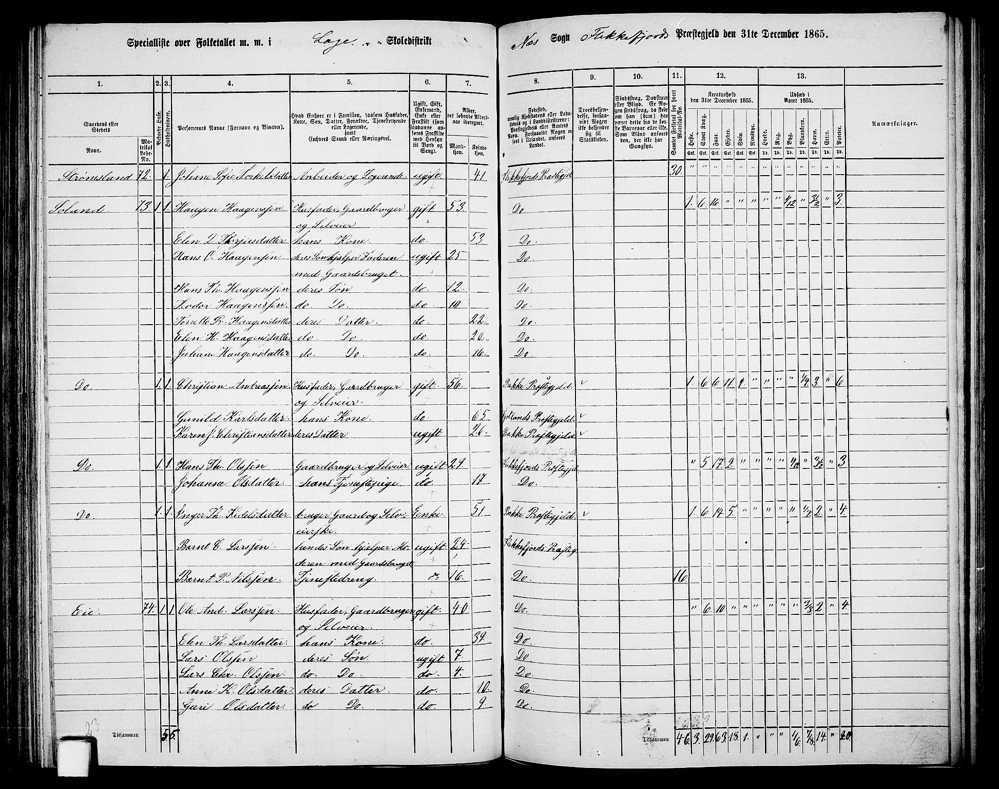 RA, Folketelling 1865 for 1042L Flekkefjord prestegjeld, Nes sokn og Hidra sokn, 1865, s. 122