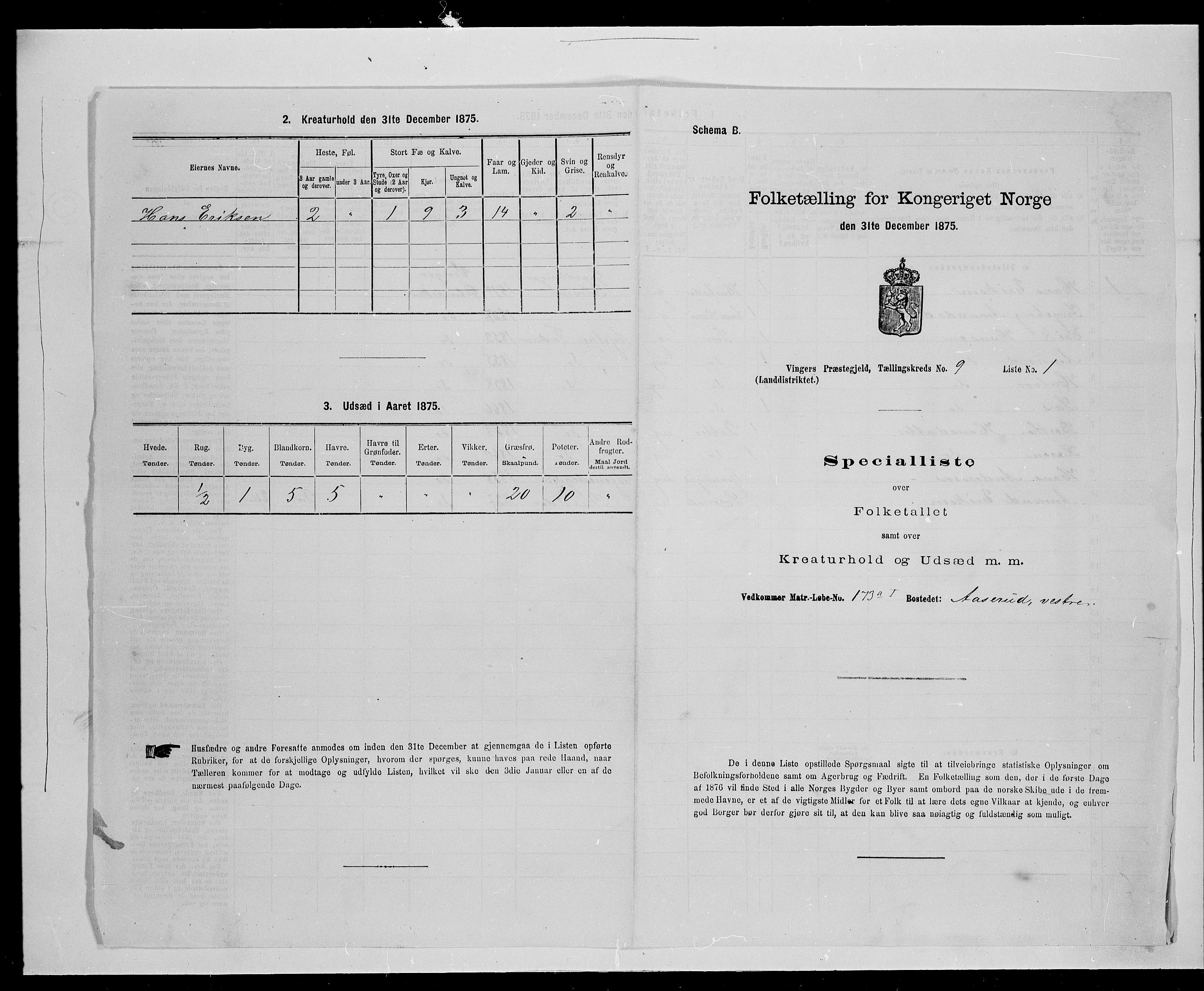 SAH, Folketelling 1875 for 0421L Vinger prestegjeld, Vinger sokn og Austmarka sokn, 1875, s. 1383