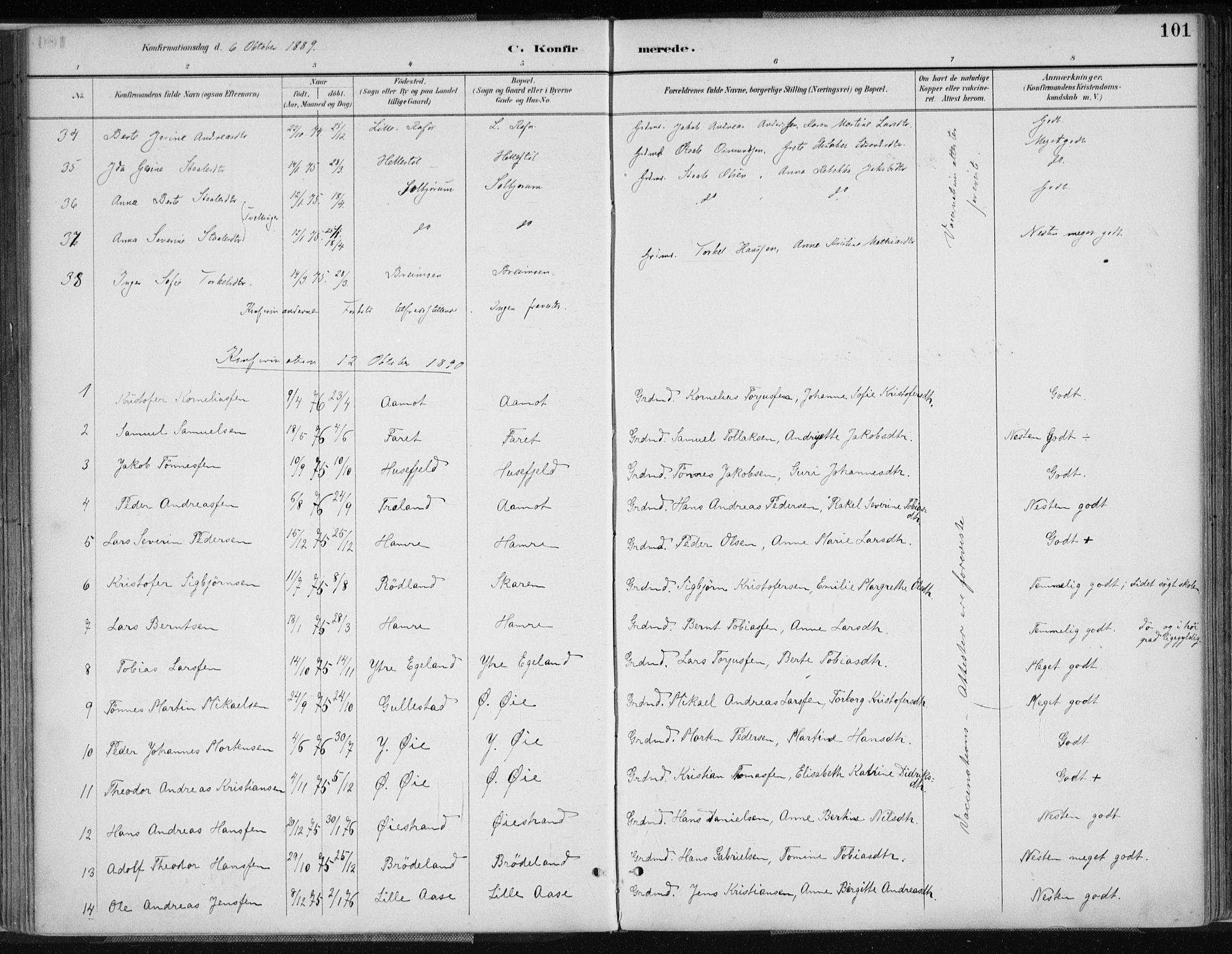 Kvinesdal sokneprestkontor, SAK/1111-0026/F/Fa/Fab/L0008: Ministerialbok nr. A 8, 1886-1897, s. 101