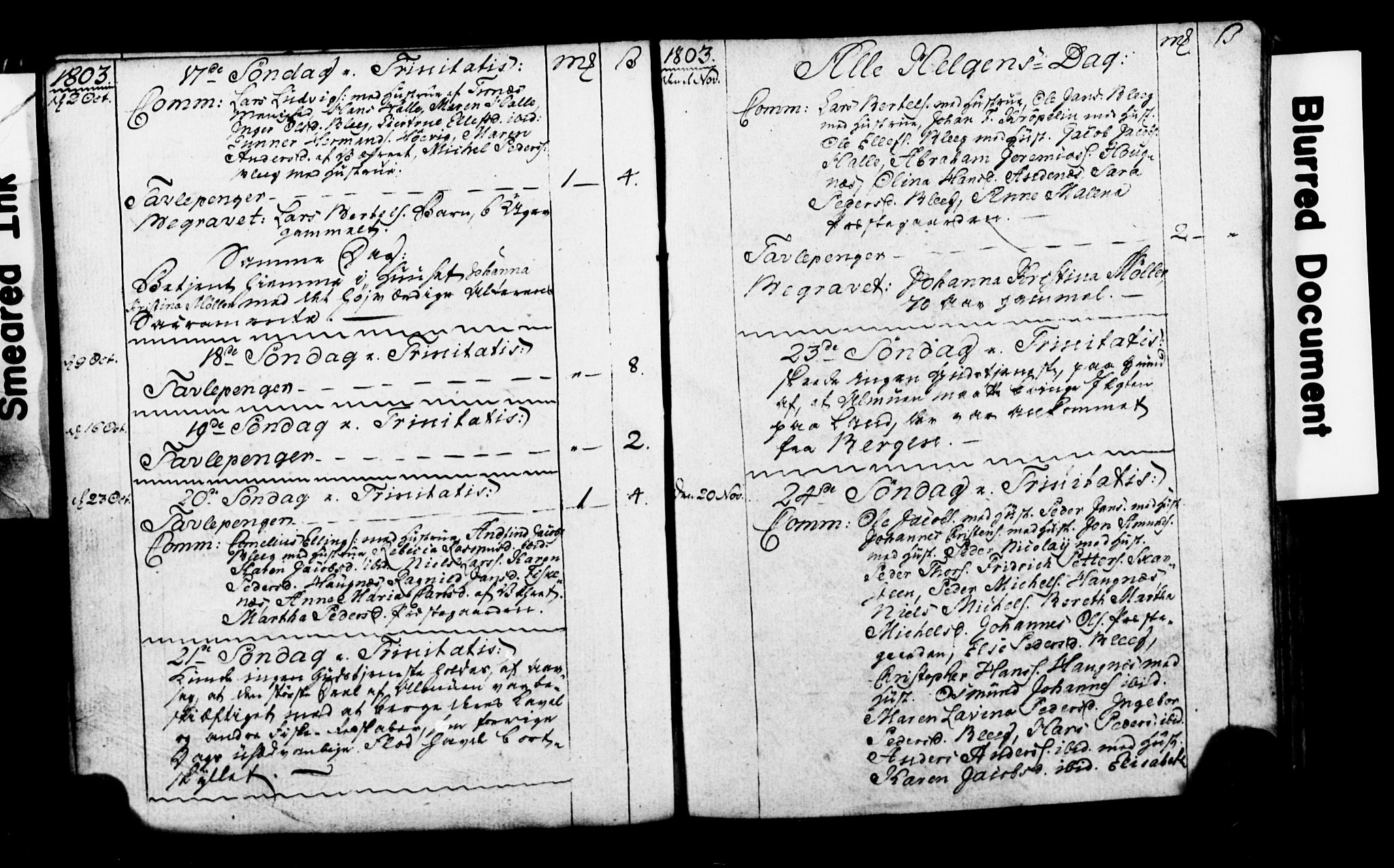 Ministerialprotokoller, klokkerbøker og fødselsregistre - Nordland, AV/SAT-A-1459/899/L1435: Ministerialbok nr. 899A03, 1789-1808