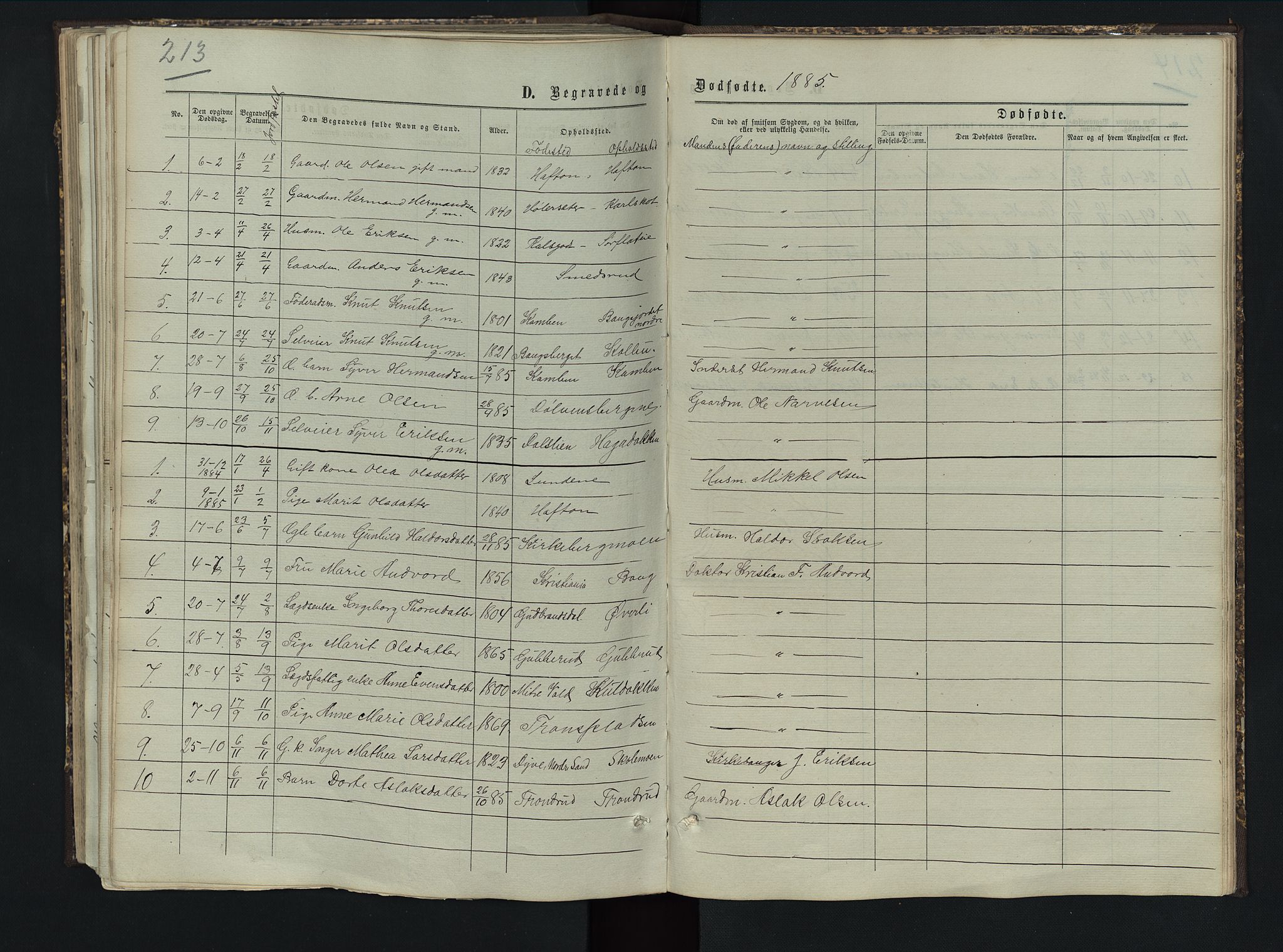 Sør-Aurdal prestekontor, AV/SAH-PREST-128/H/Ha/Hab/L0005: Klokkerbok nr. 5, 1866-1893, s. 213