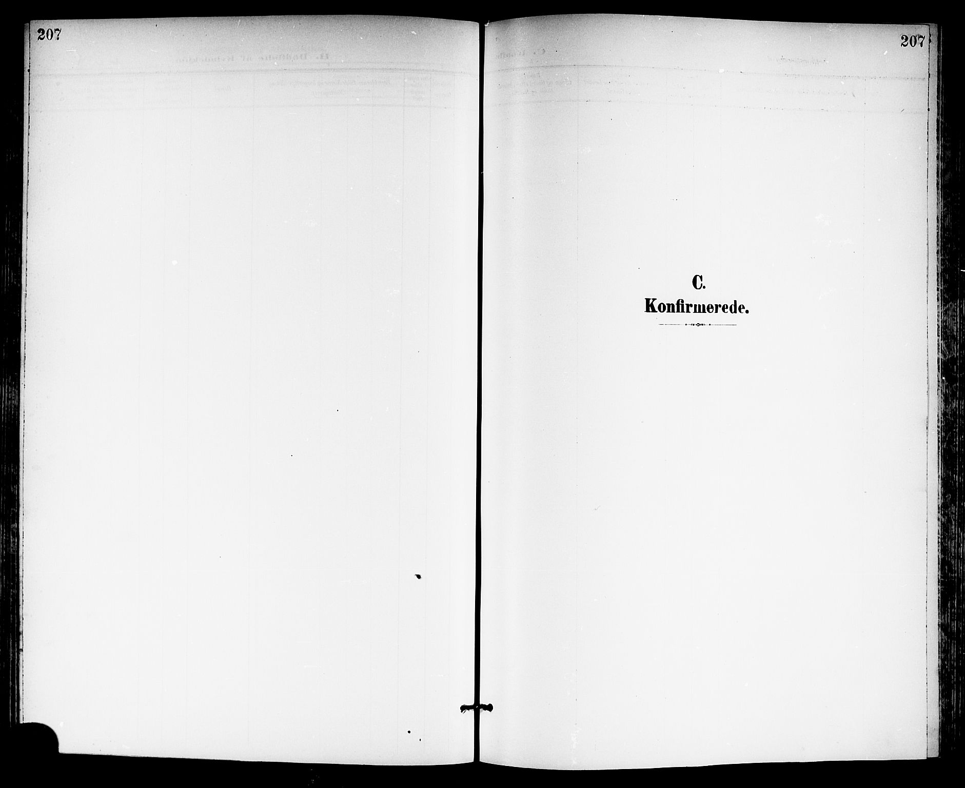 Gjerpen kirkebøker, AV/SAKO-A-265/G/Ga/L0003: Klokkerbok nr. I 3, 1901-1919, s. 207