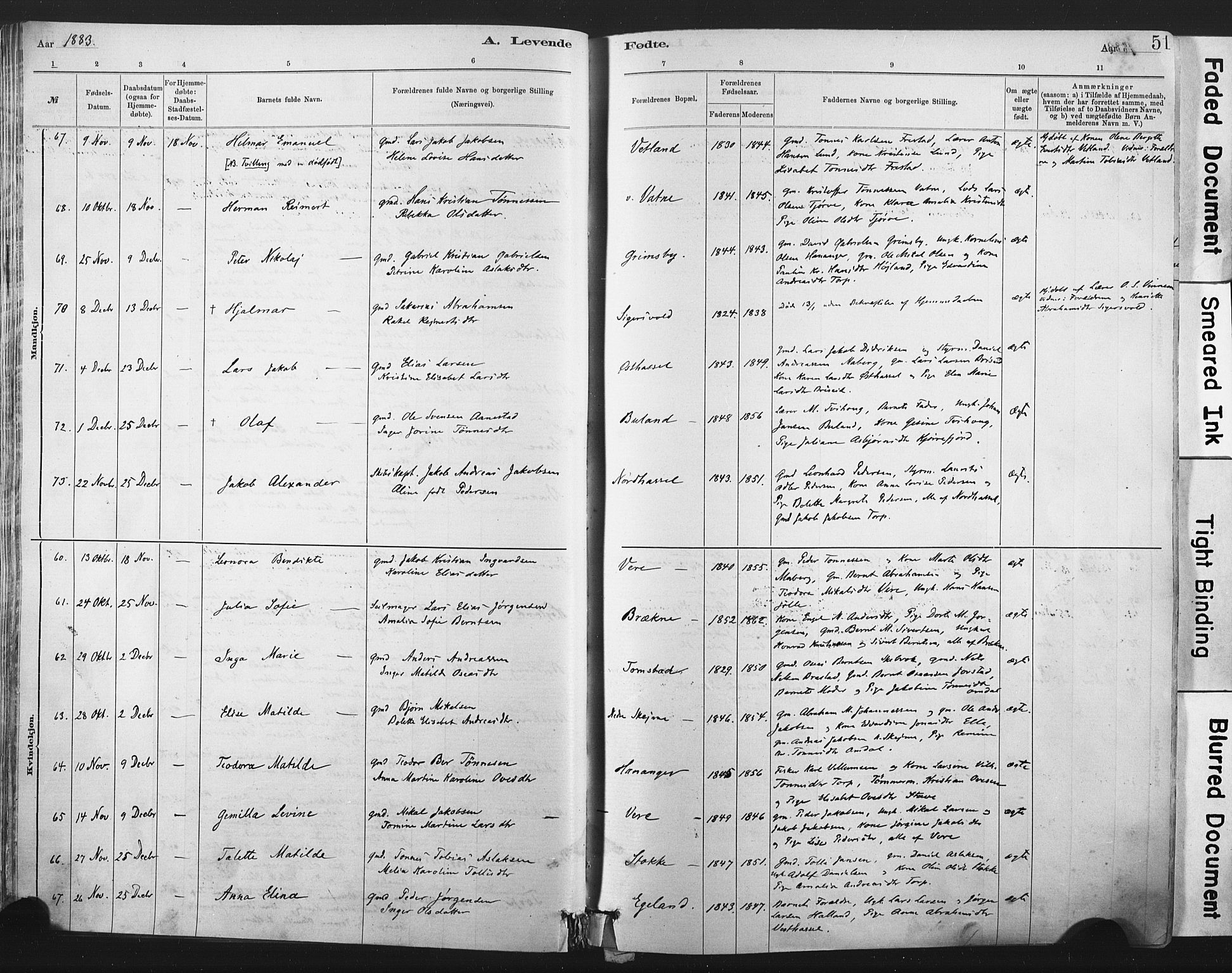 Lista sokneprestkontor, AV/SAK-1111-0027/F/Fa/L0012: Ministerialbok nr. A 12, 1879-1903, s. 51