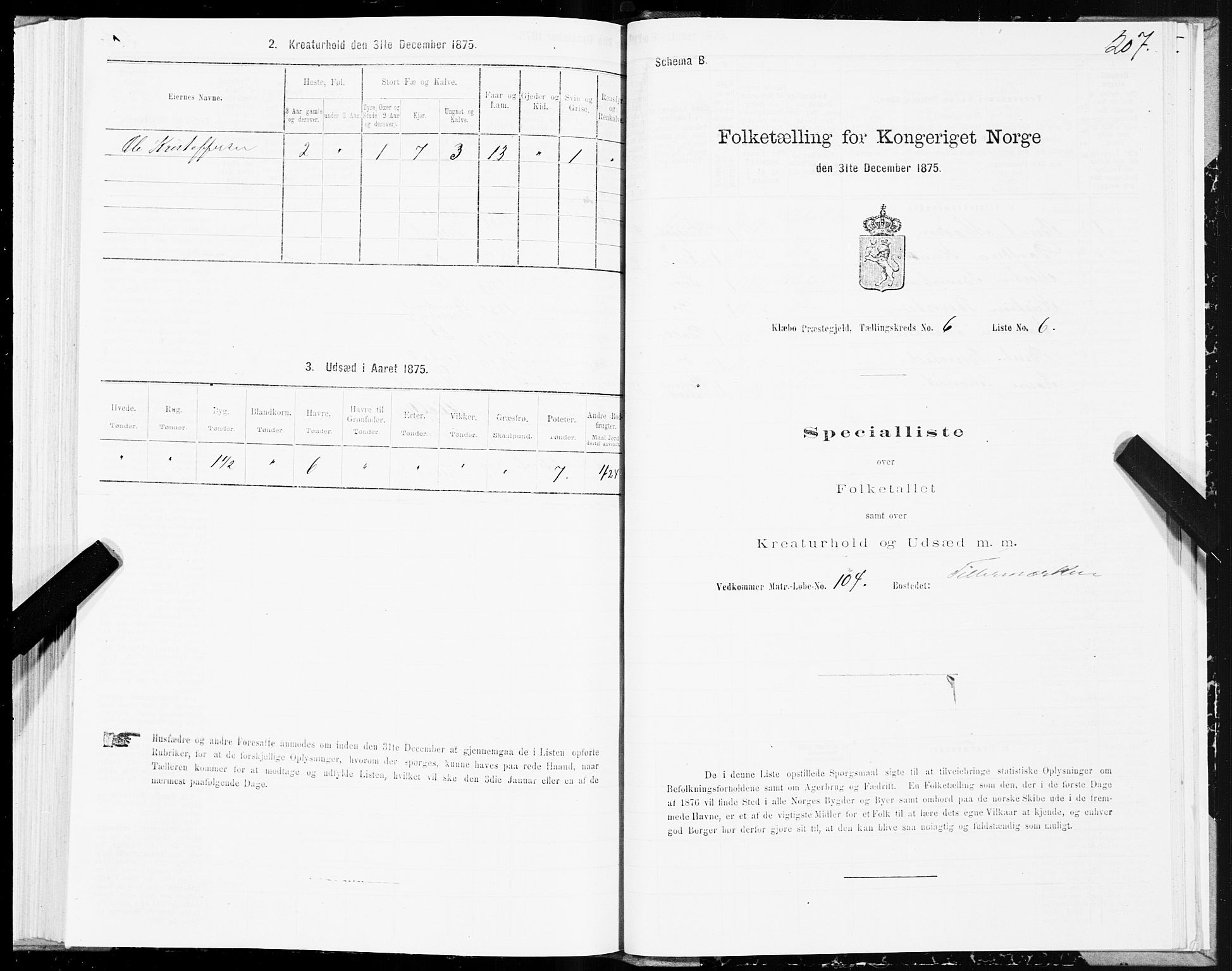 SAT, Folketelling 1875 for 1662P Klæbu prestegjeld, 1875, s. 2207