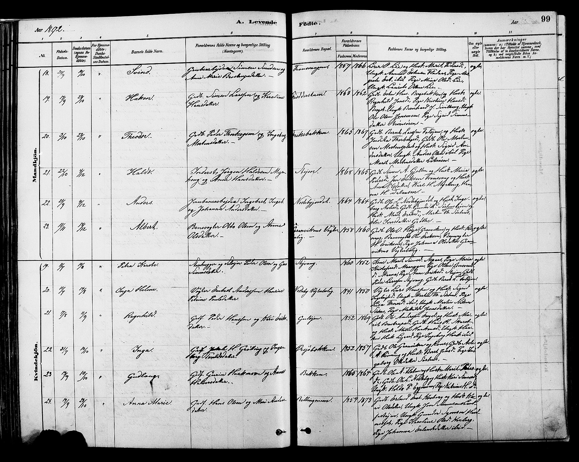 Alvdal prestekontor, AV/SAH-PREST-060/H/Ha/Hab/L0003: Klokkerbok nr. 3, 1878-1907, s. 99