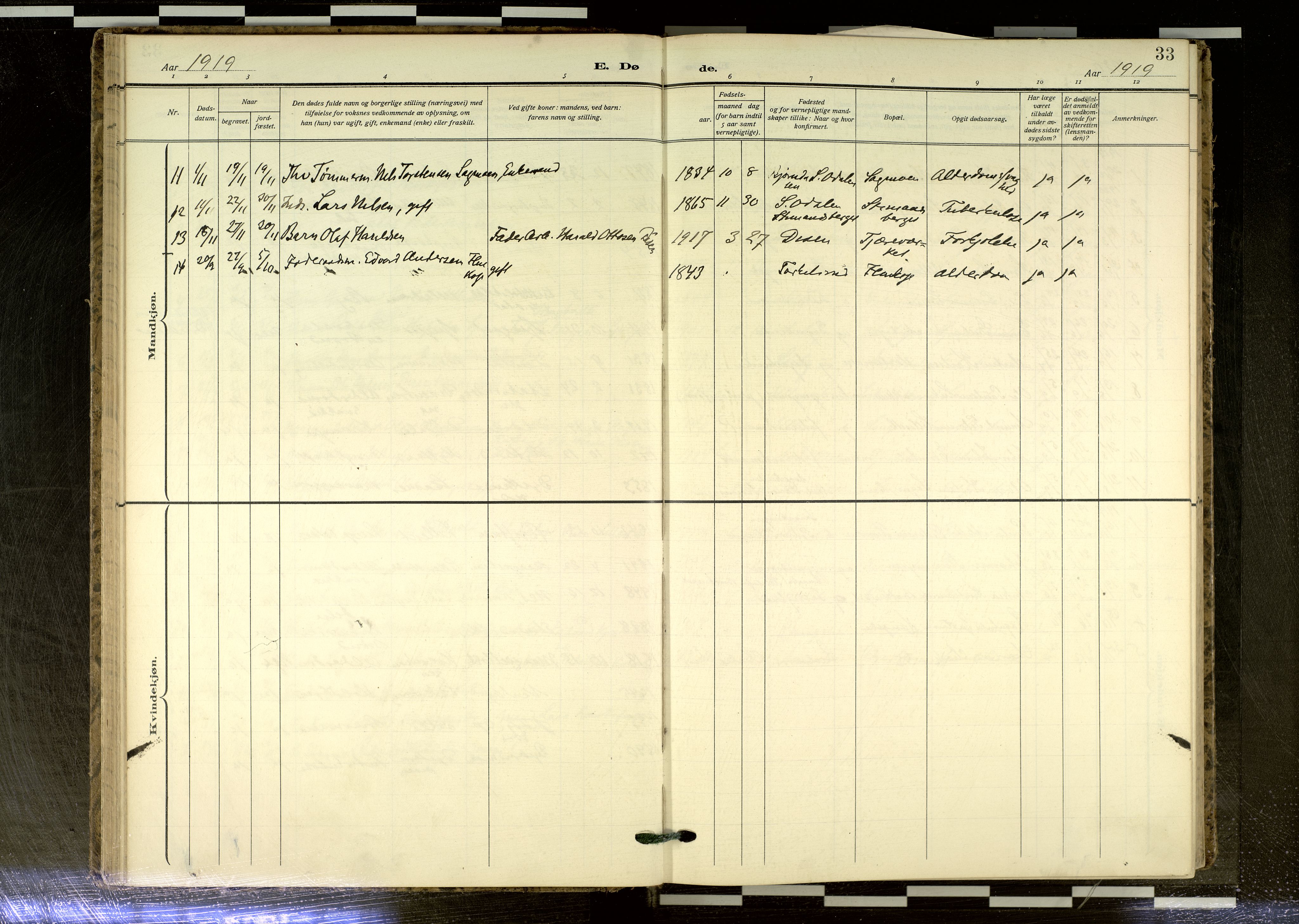 Sør-Odal prestekontor, AV/SAH-PREST-030/H/Ha/Haa/L0020: Ministerialbok nr. 20, 1906-2012, s. 33