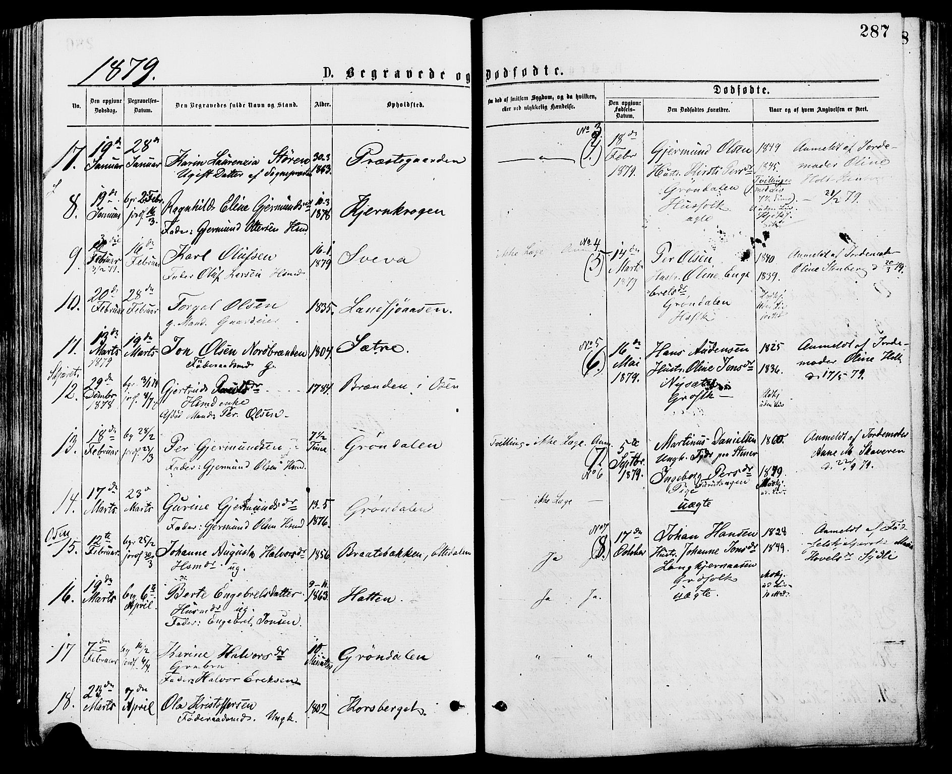 Trysil prestekontor, SAH/PREST-046/H/Ha/Haa/L0007: Ministerialbok nr. 7, 1874-1880, s. 287