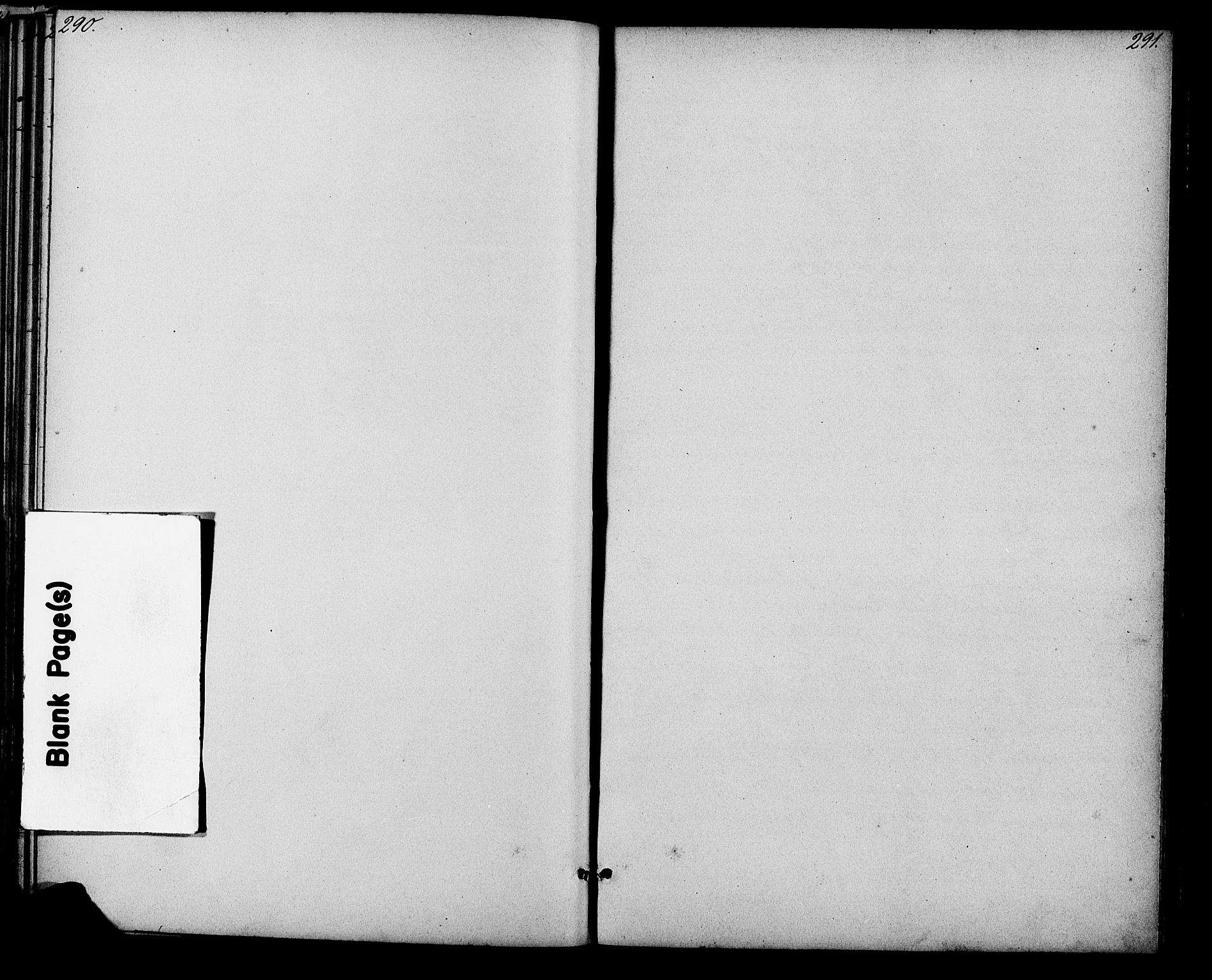 Evje sokneprestkontor, SAK/1111-0008/F/Fb/Fbb/L0002: Klokkerbok nr. B 2, 1879-1909, s. 290-291