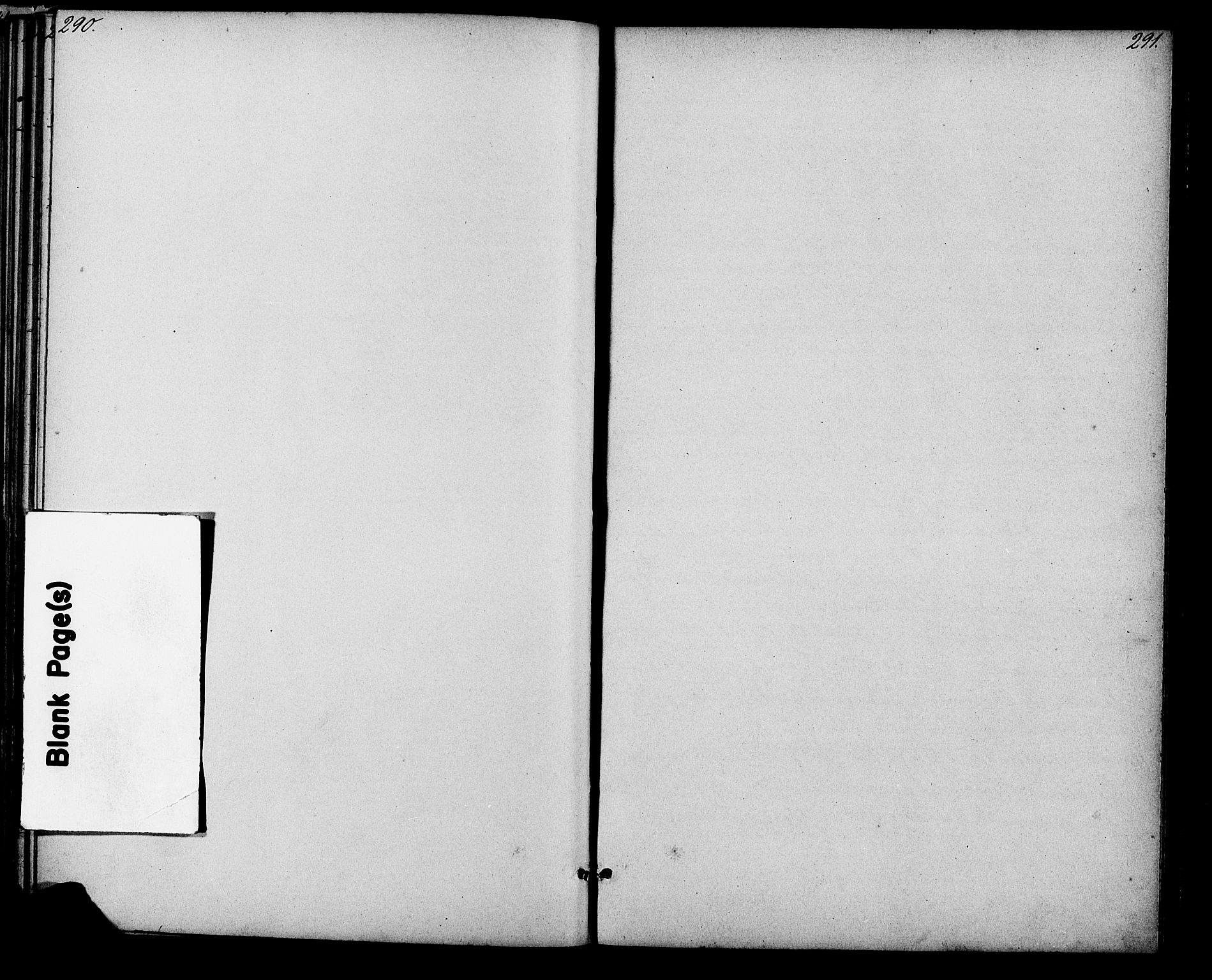 Evje sokneprestkontor, AV/SAK-1111-0008/F/Fb/Fbb/L0002: Klokkerbok nr. B 2, 1879-1909, s. 290-291