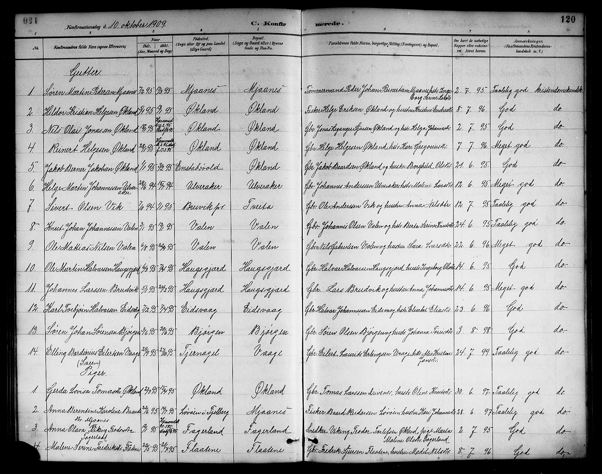 Sveio Sokneprestembete, AV/SAB-A-78501/H/Hab: Klokkerbok nr. B 2, 1887-1911, s. 120