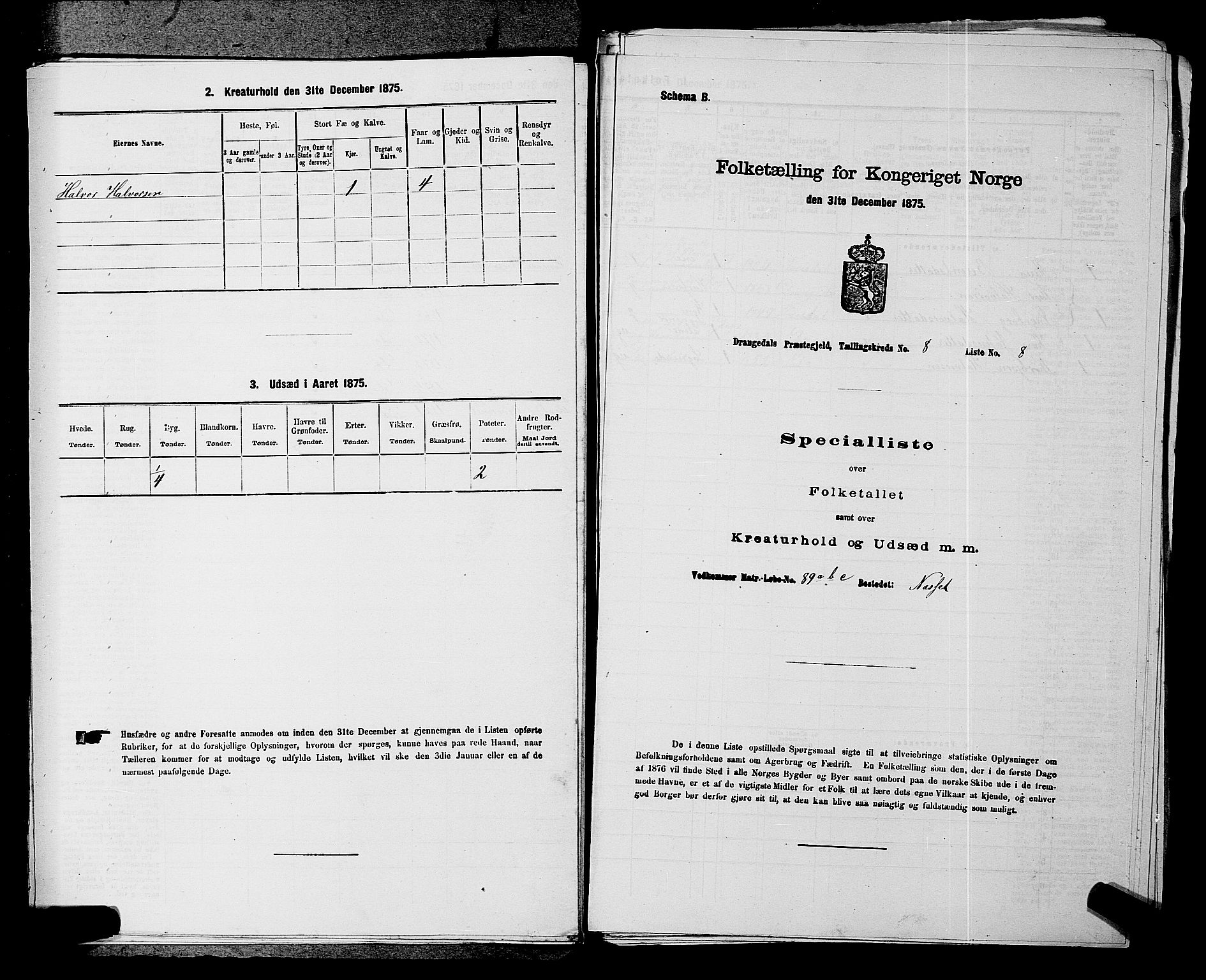 SAKO, Folketelling 1875 for 0817P Drangedal prestegjeld, 1875, s. 776