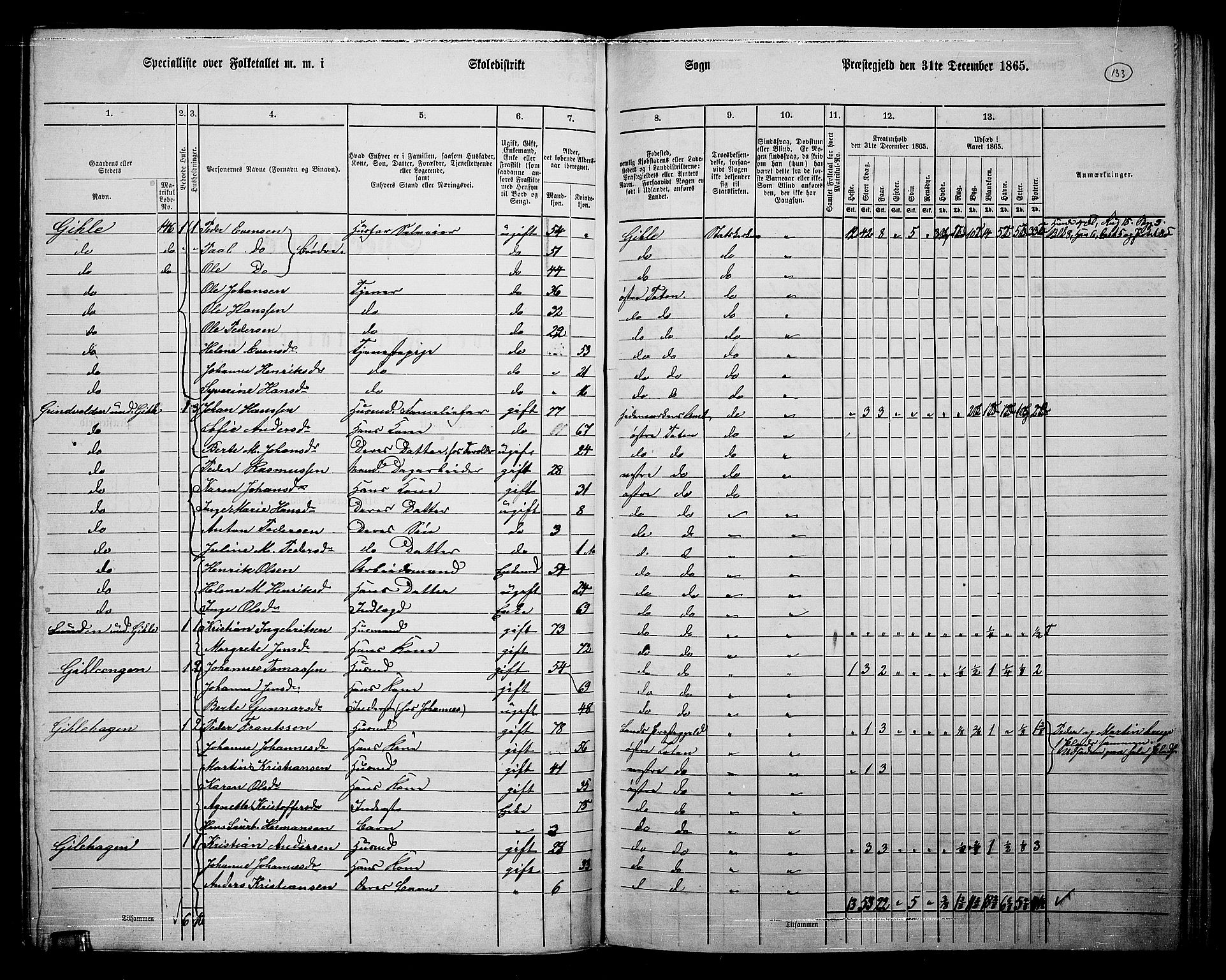 RA, Folketelling 1865 for 0528P Østre Toten prestegjeld, 1865, s. 249