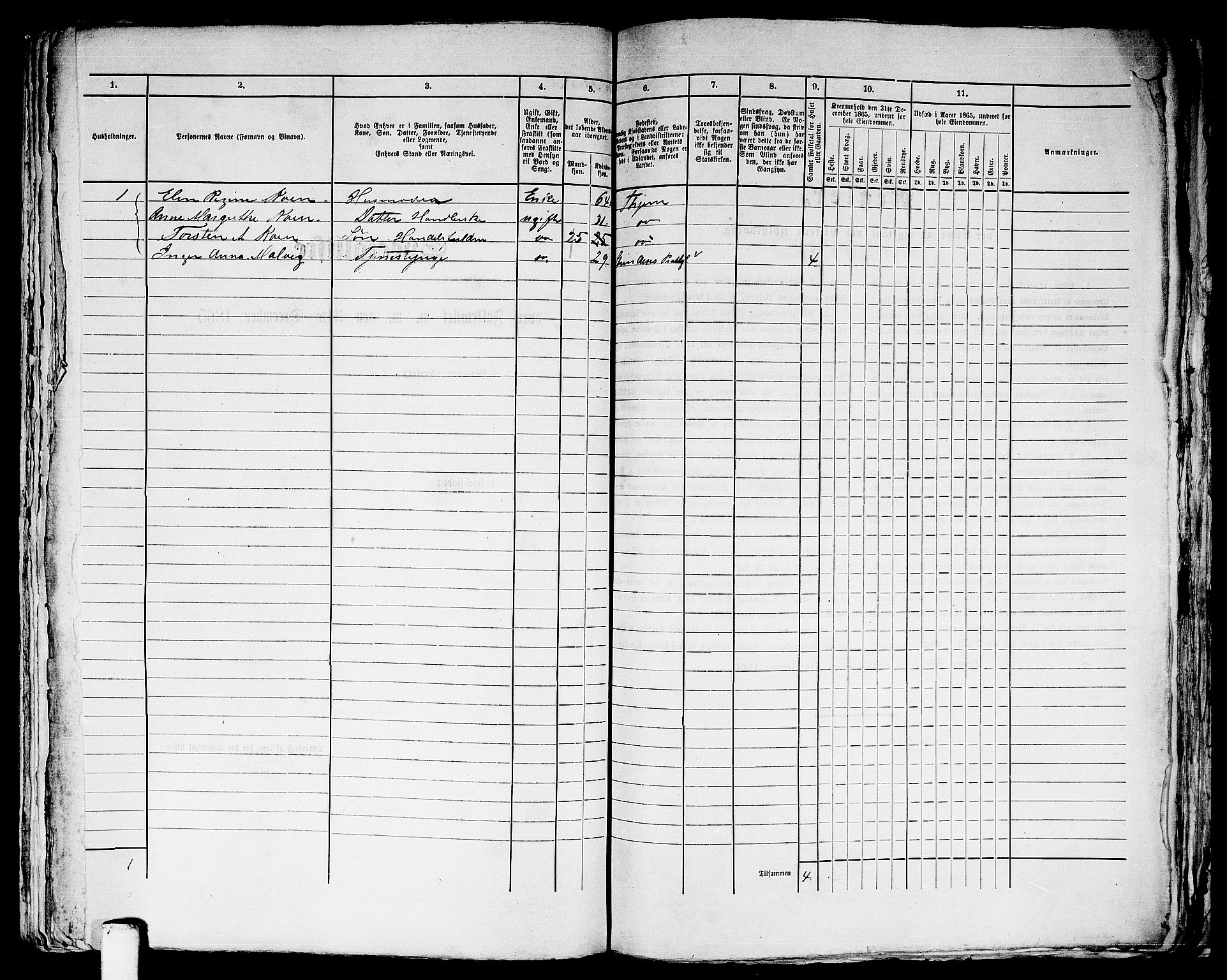 RA, Folketelling 1865 for 1601 Trondheim kjøpstad, 1865, s. 2491