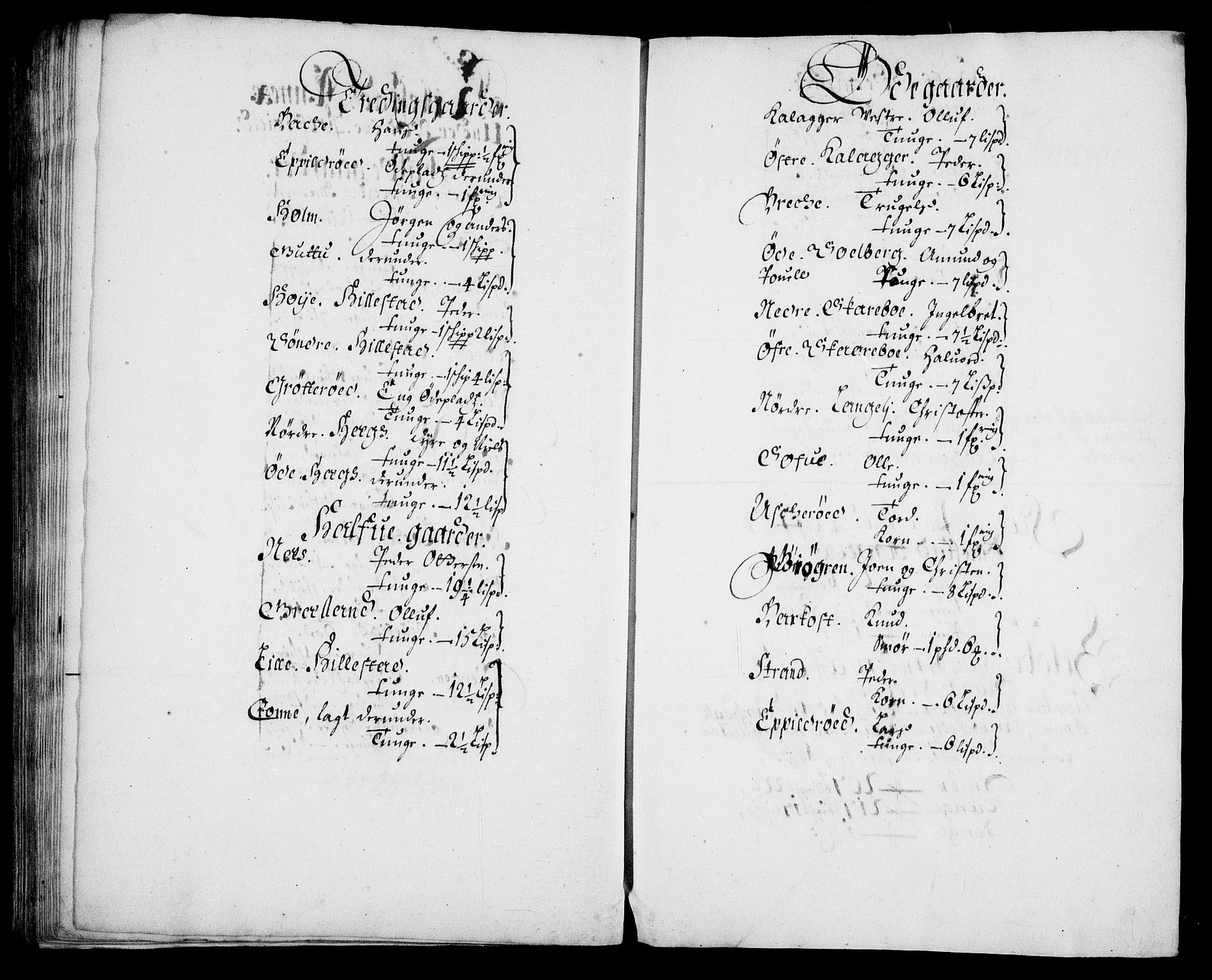 Rentekammeret inntil 1814, Realistisk ordnet avdeling, AV/RA-EA-4070/N/Na/L0003/0003: [XI h]: Tønsbergs amt og Larvik grevskaps jordebøker: / (C) Smør- og kjøttskatt, inkludert Griffenfelds gods i Larvik grevskap, 1674
