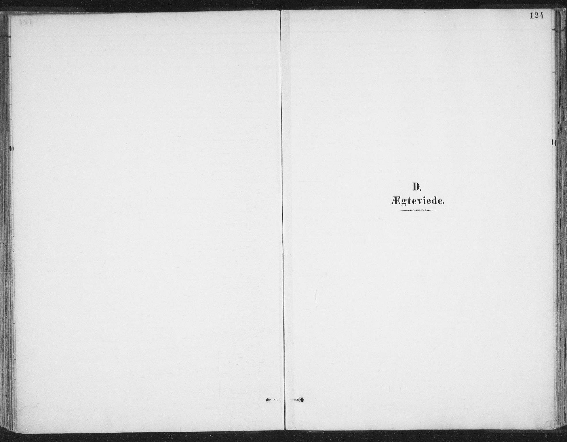 Balsfjord sokneprestembete, AV/SATØ-S-1303/G/Gaa/L0007kirke: Ministerialbok nr. 7, 1887-1909, s. 124