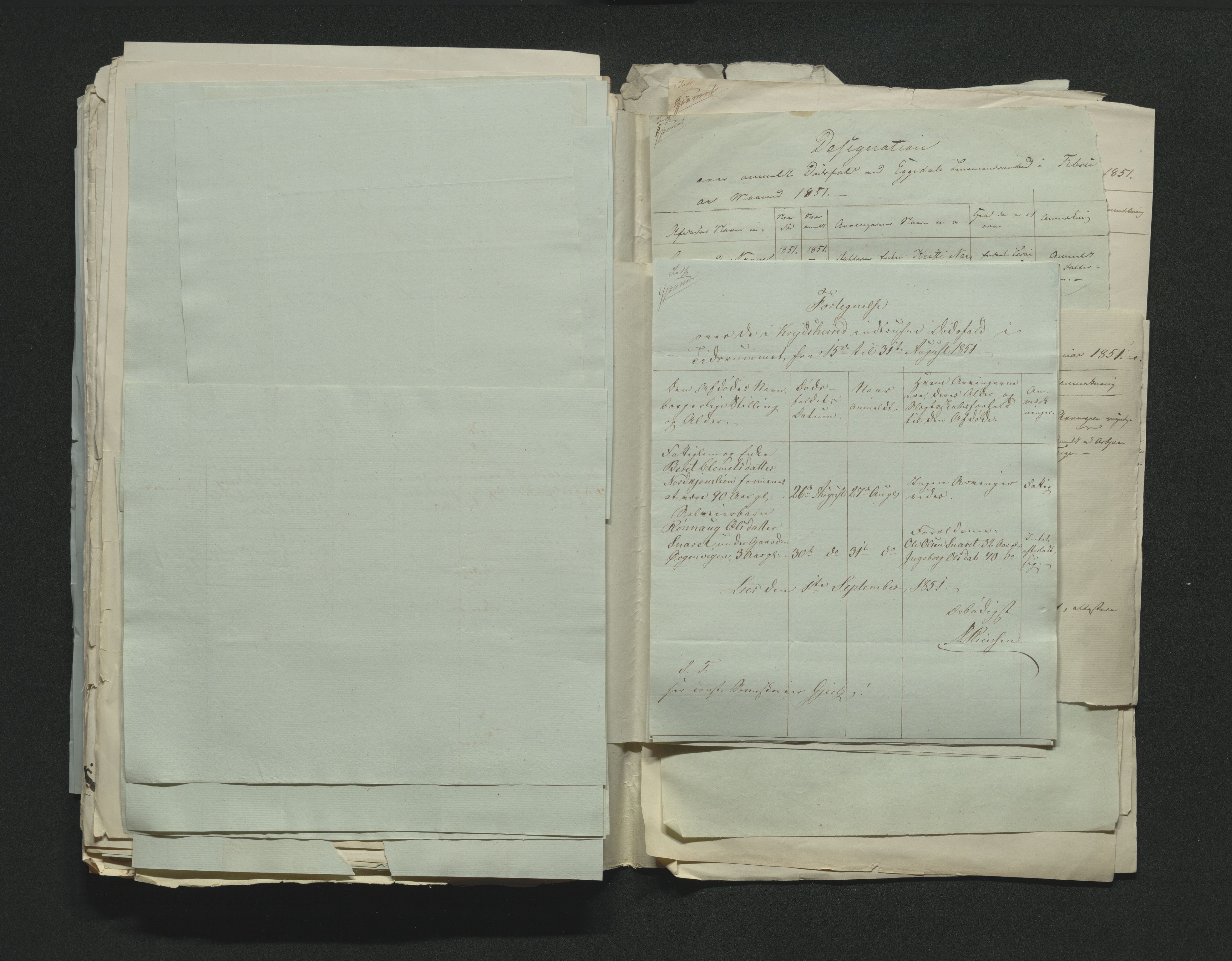 Eiker, Modum og Sigdal sorenskriveri, AV/SAKO-A-123/H/Ha/Hab/L0008: Dødsfallsmeldinger, 1850-1853