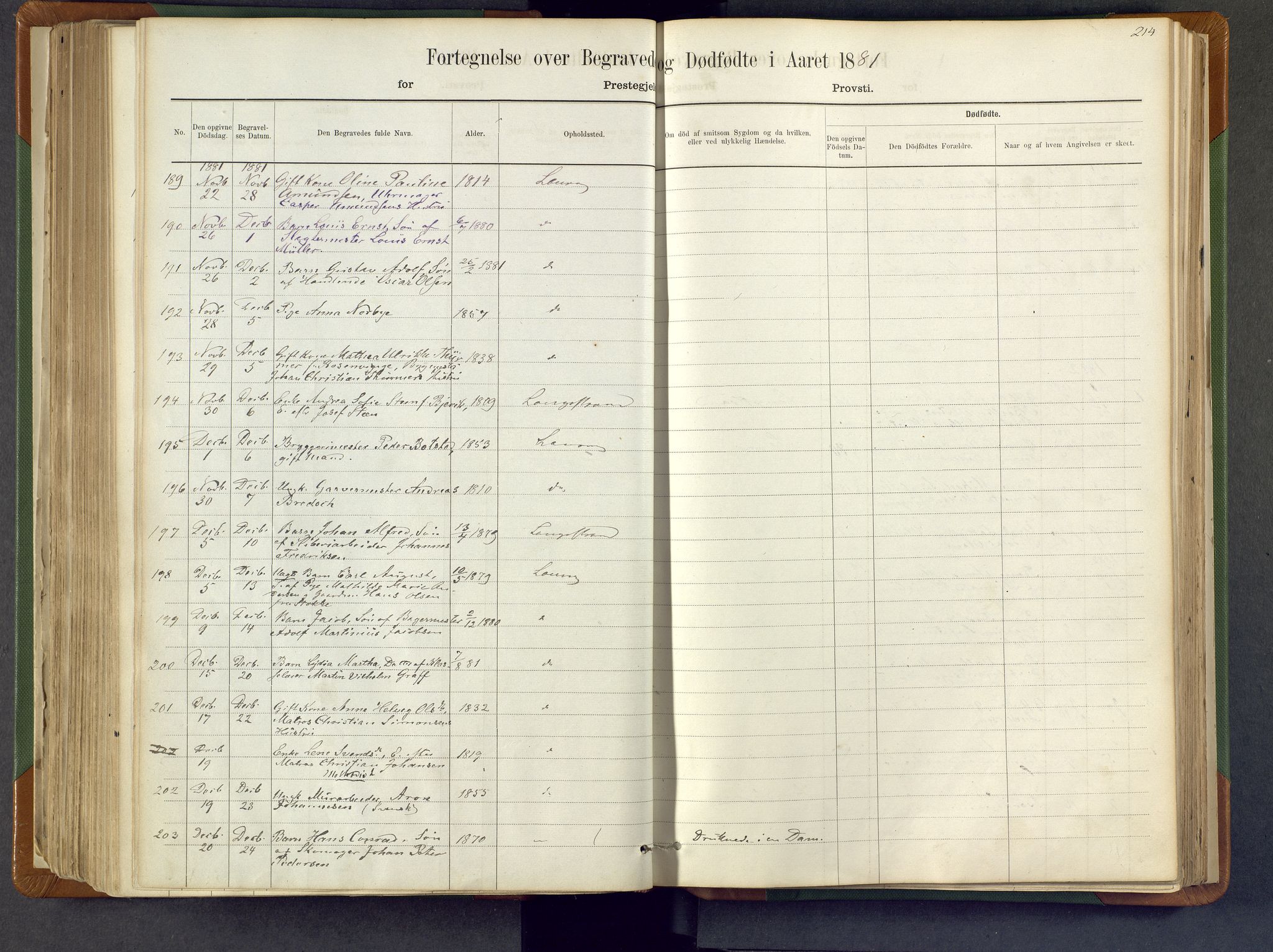 Larvik kirkebøker, SAKO/A-352/F/Fa/L0007: Ministerialbok nr. I 7, 1871-1883, s. 214