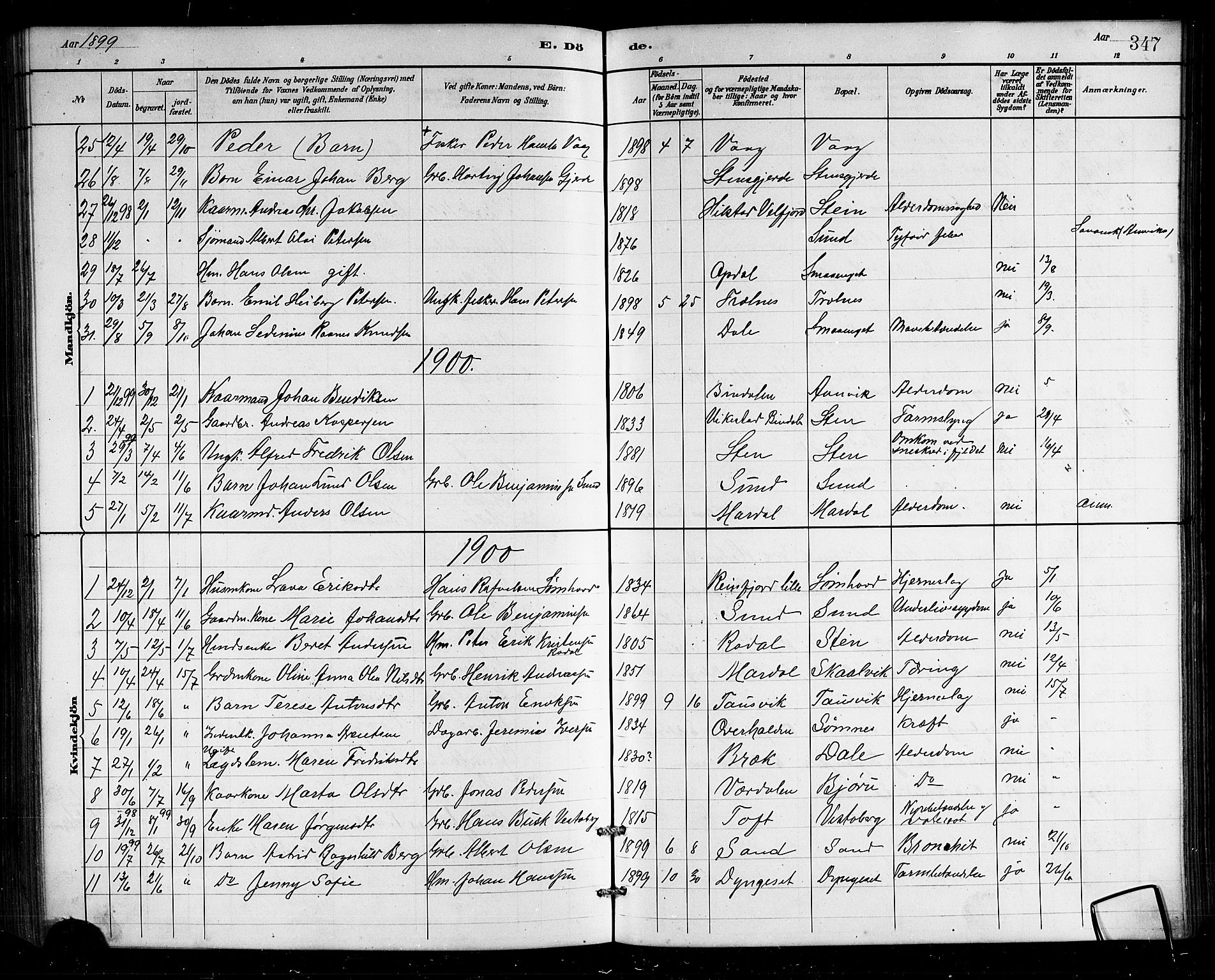 Ministerialprotokoller, klokkerbøker og fødselsregistre - Nordland, AV/SAT-A-1459/812/L0188: Klokkerbok nr. 812C06, 1884-1912, s. 347