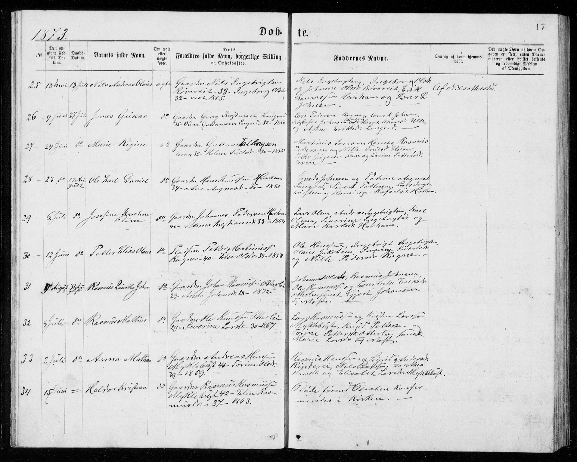 Ministerialprotokoller, klokkerbøker og fødselsregistre - Møre og Romsdal, AV/SAT-A-1454/536/L0509: Klokkerbok nr. 536C04, 1871-1881, s. 17