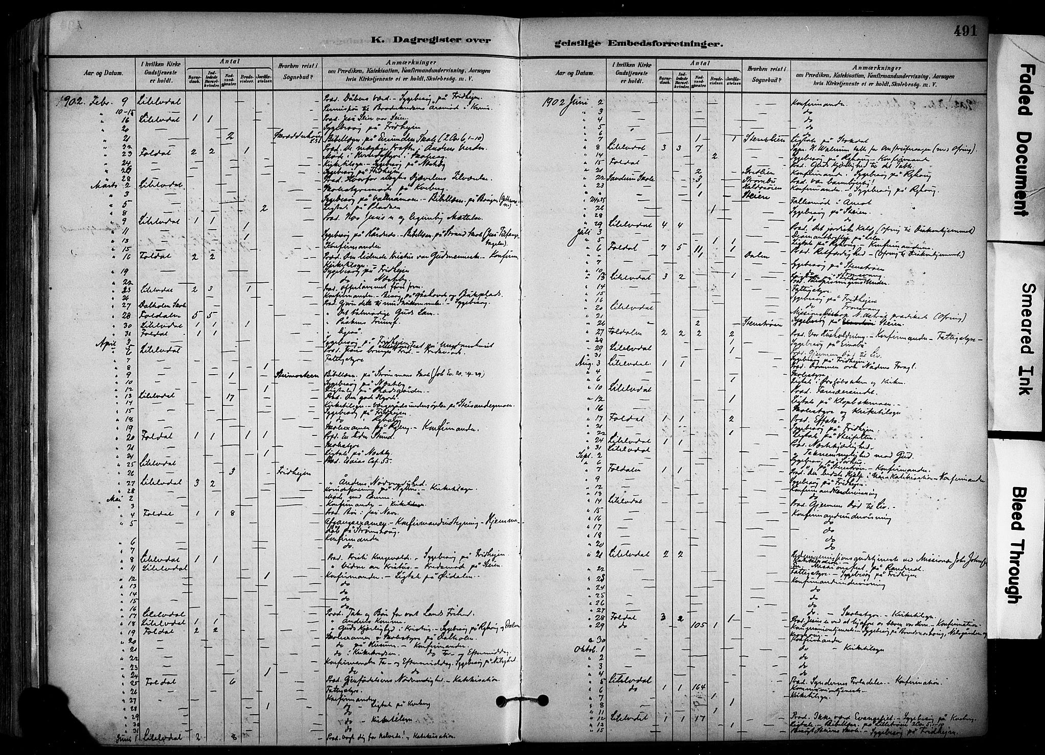 Alvdal prestekontor, SAH/PREST-060/H/Ha/Haa/L0002: Ministerialbok nr. 2, 1883-1906, s. 491