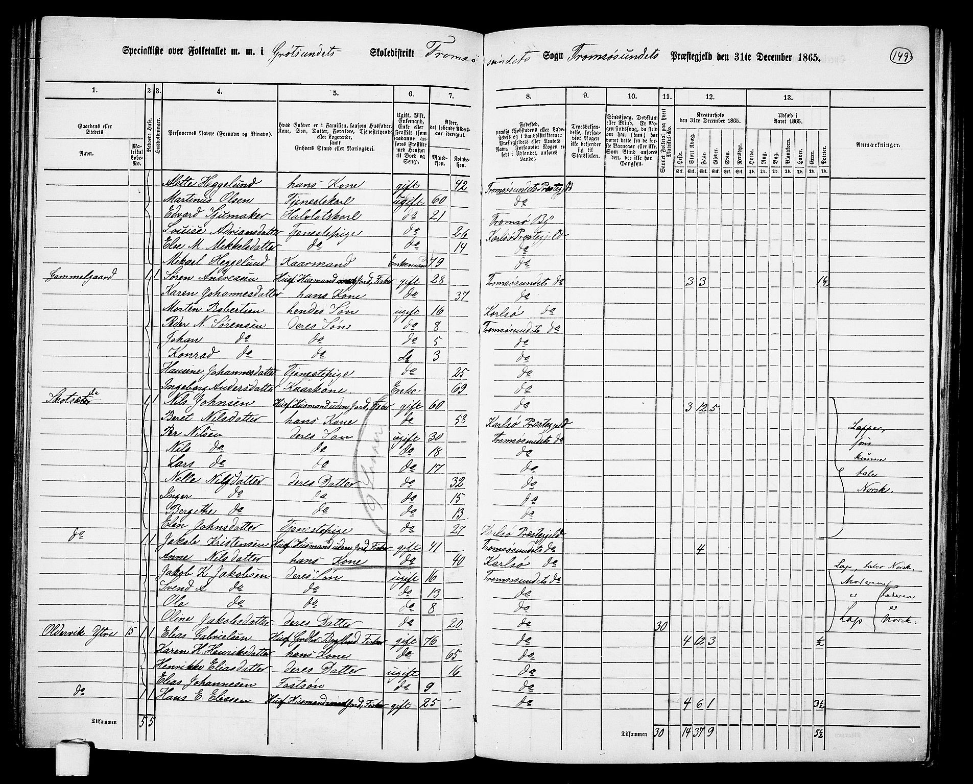 RA, Folketelling 1865 for 1934P Tromsøysund prestegjeld, 1865, s. 124