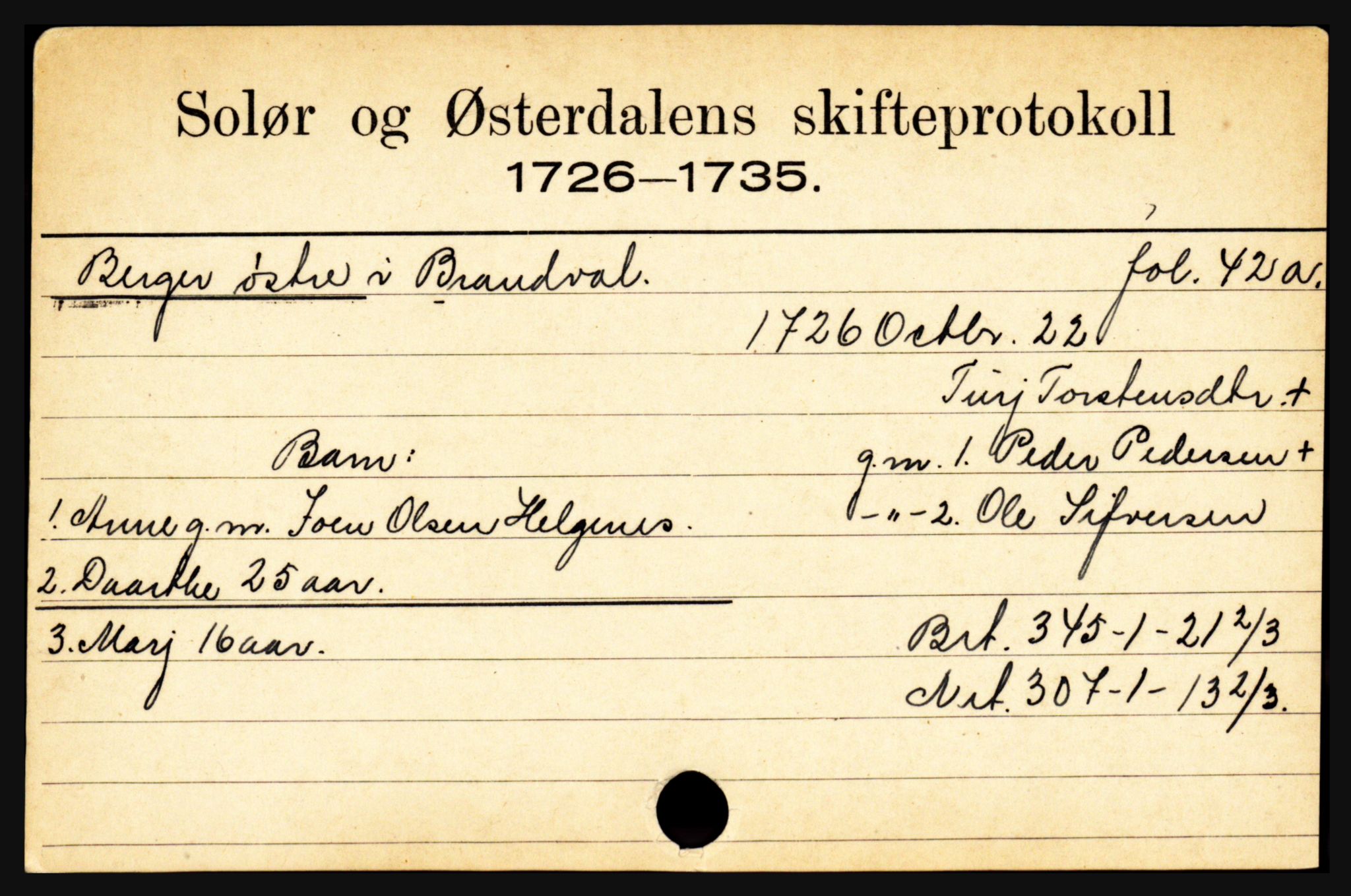 Solør og Østerdalen sorenskriveri, SAH/TING-024/J, 1716-1774, s. 299