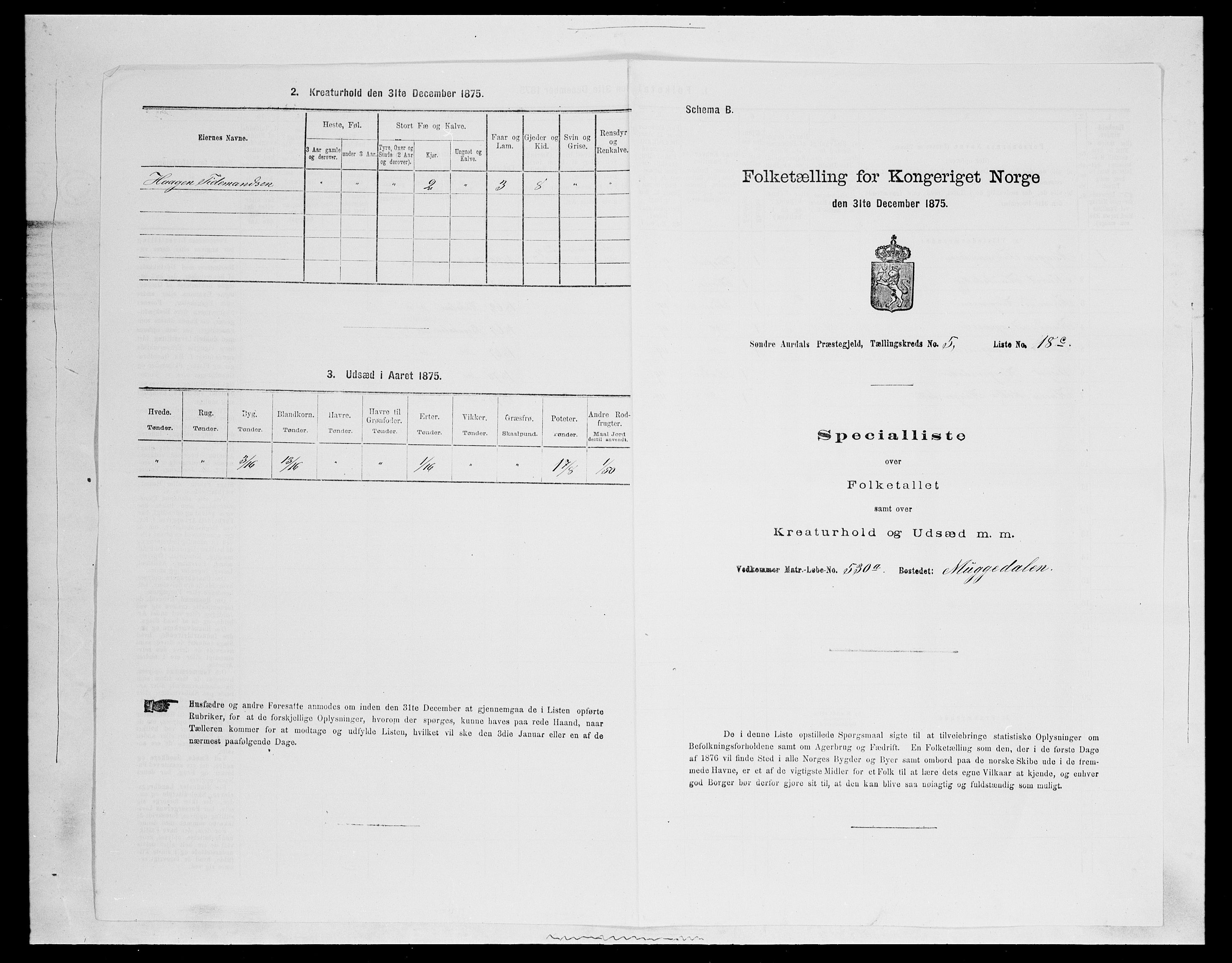 SAH, Folketelling 1875 for 0540P Sør-Aurdal prestegjeld, 1875, s. 981